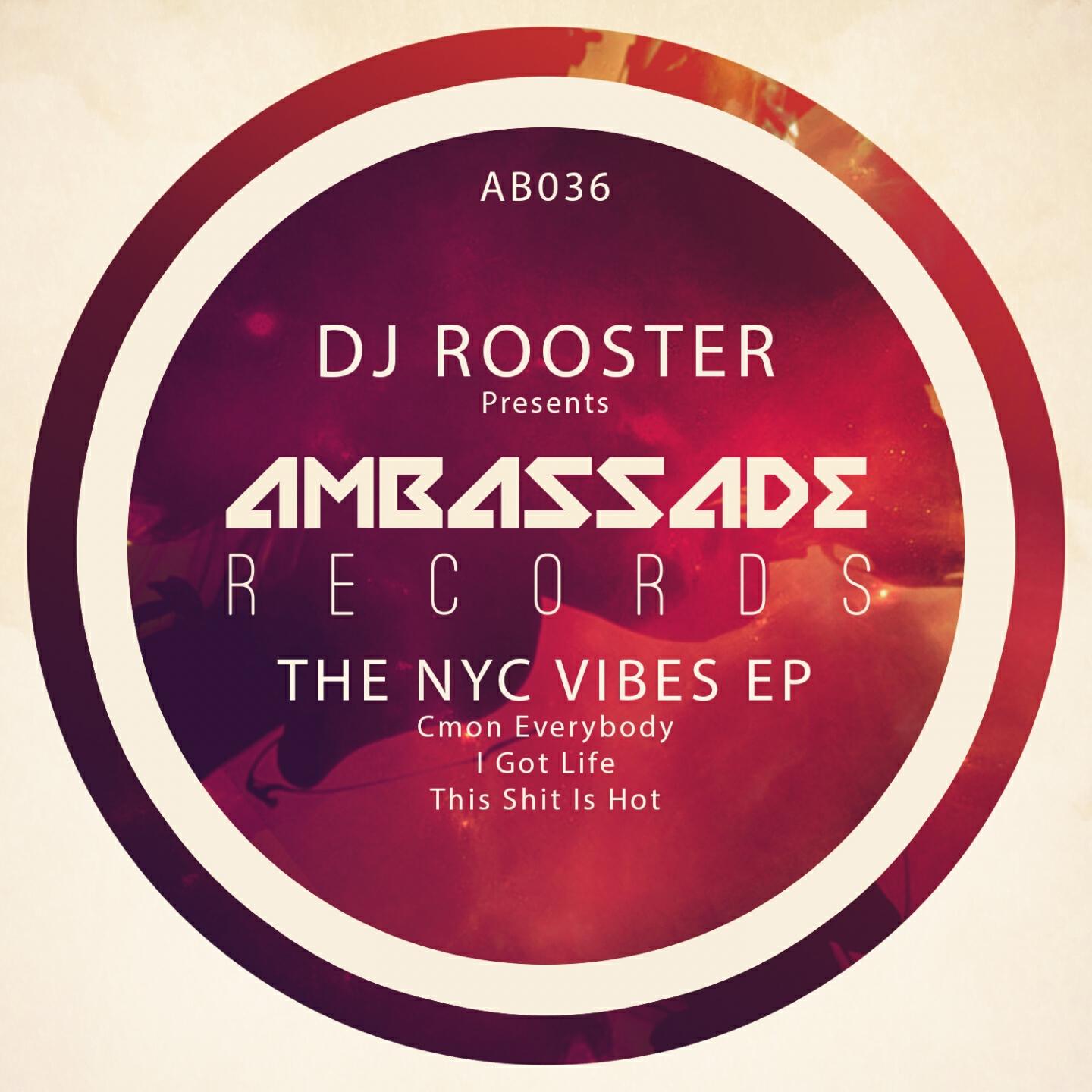 DJ Rooster - Cmon Everybody