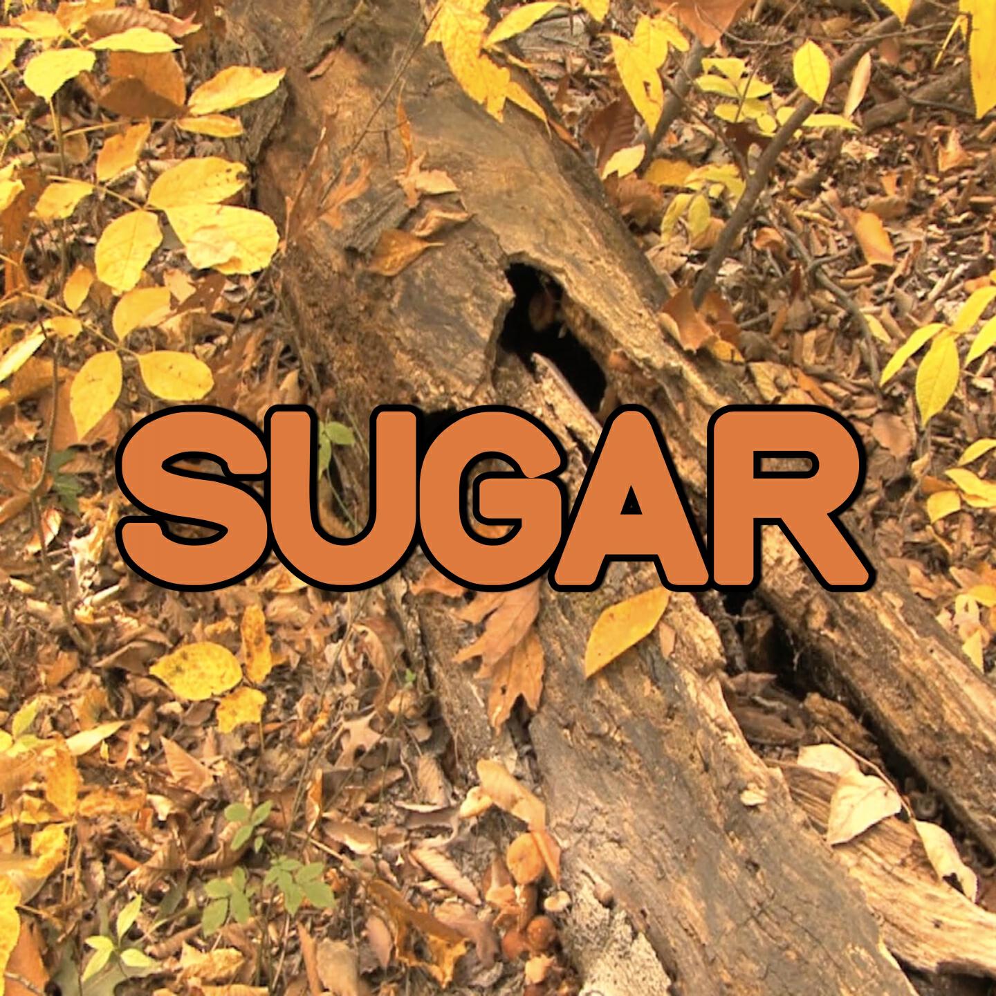 Swift Hits - Sugar - Tribute to Robin Schulz and Francesco Yates (Instrumental Version)