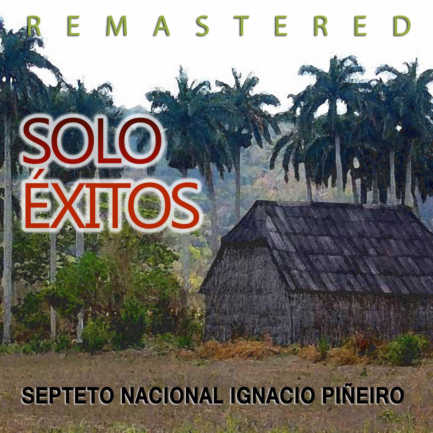 Постер альбома Solo Éxitos