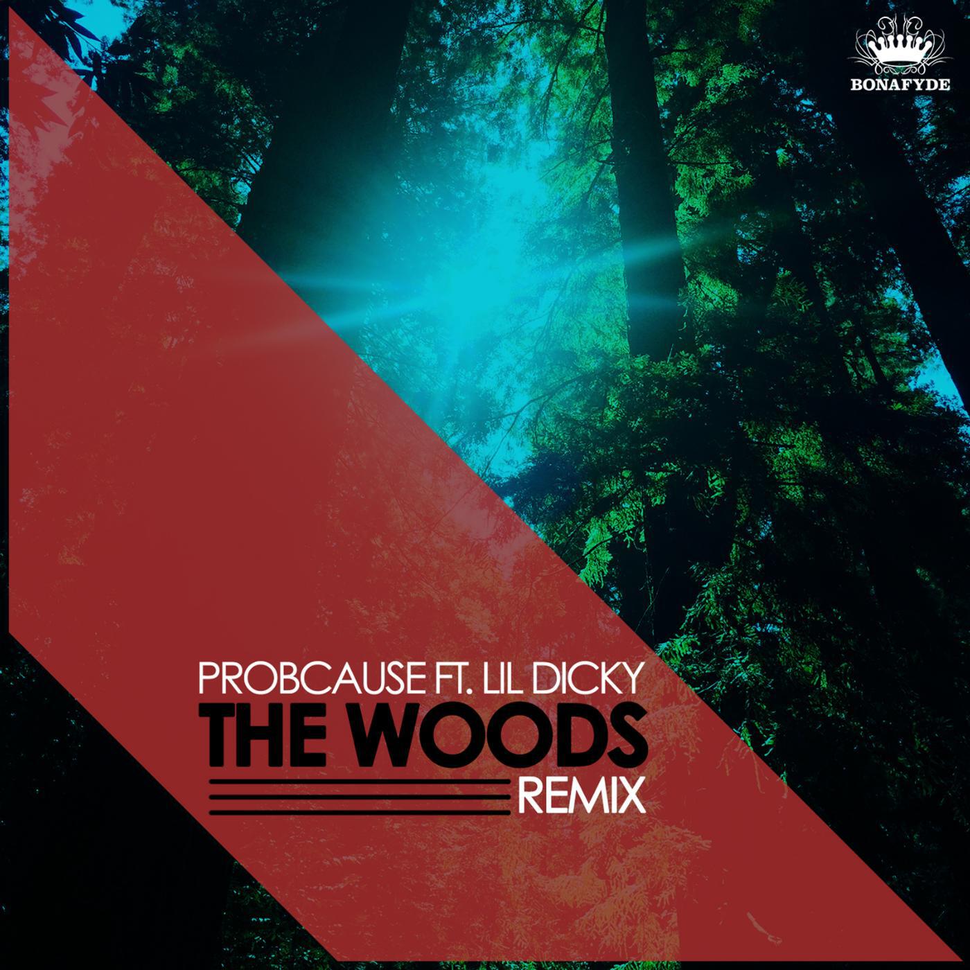 ProbCause - The Woods (Remix) [feat. Lil Dicky]