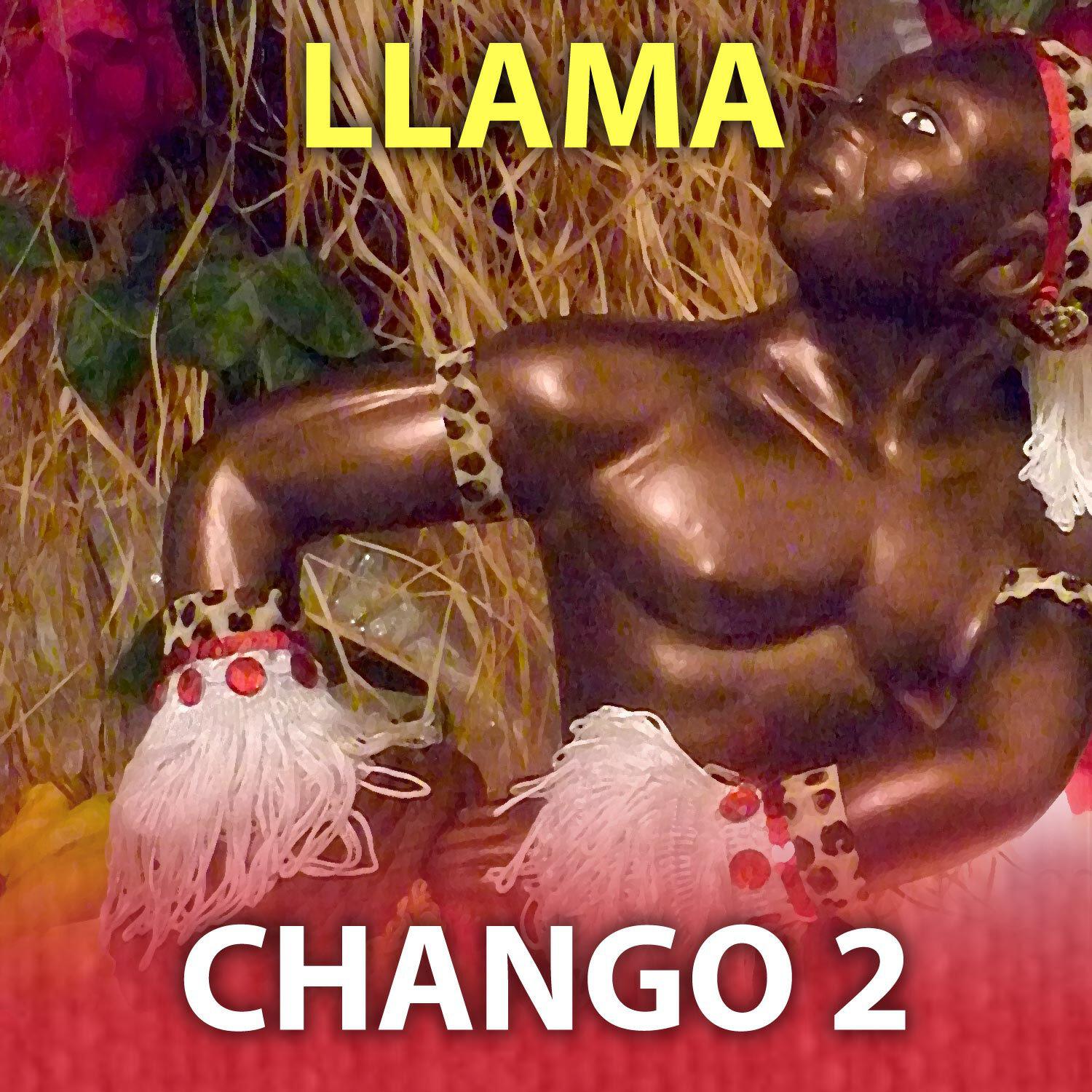 Abbilona Digital - Chango 2 Llama