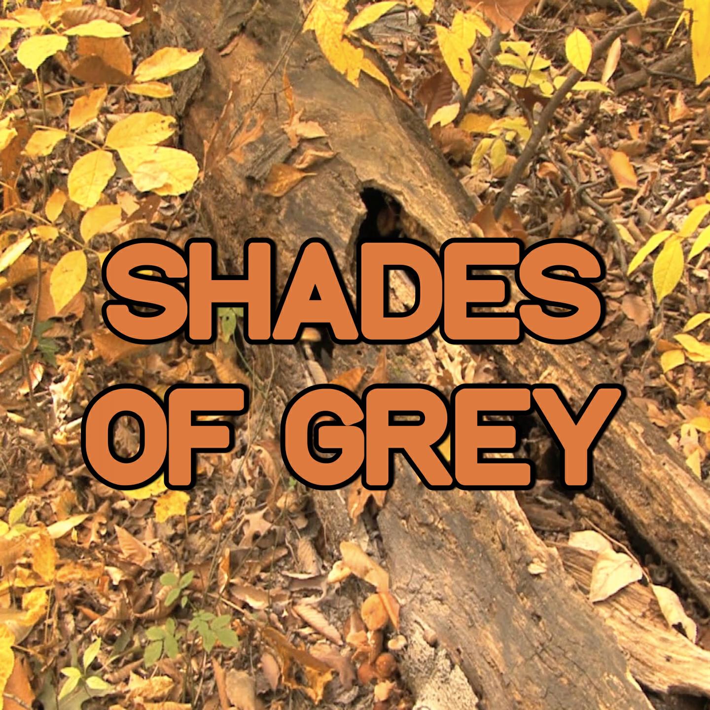 Swift Hits - Shades Of Grey - Tribute to Oliver Heldens & Shaun Frank and Delaney Jane