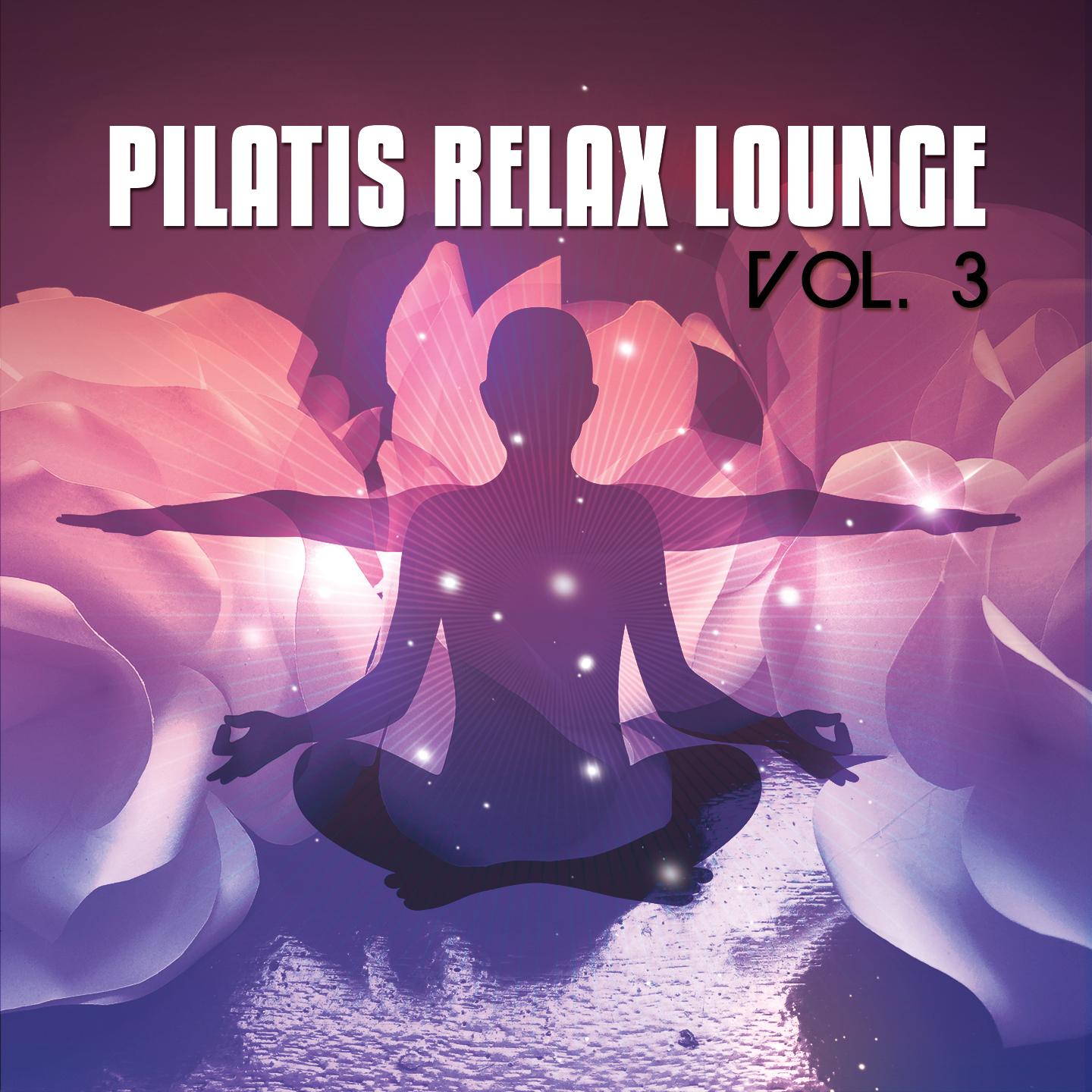 Постер альбома Pilatis Relax Lounge, Vol. 3