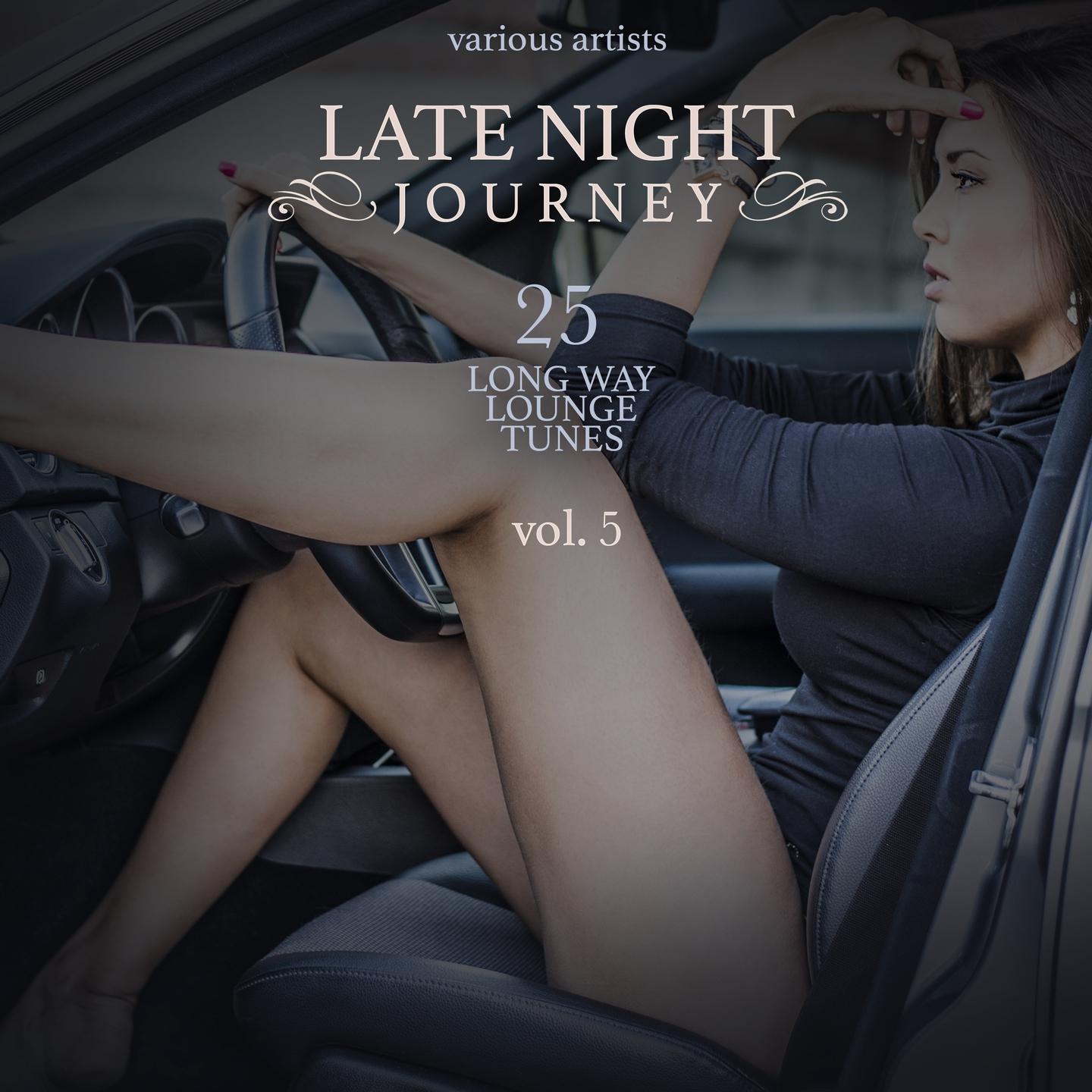 Постер альбома Late Night Journey, Vol. 5 (25 Long Way Lounge Tunes)