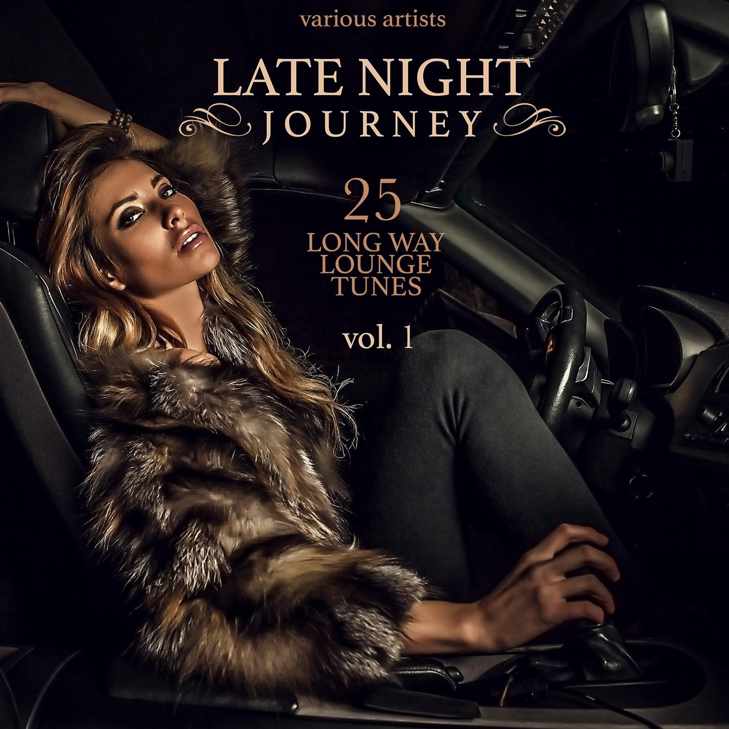 Постер альбома Late Night Journey, Vol. 1 (25 Long Way Lounge Tunes)