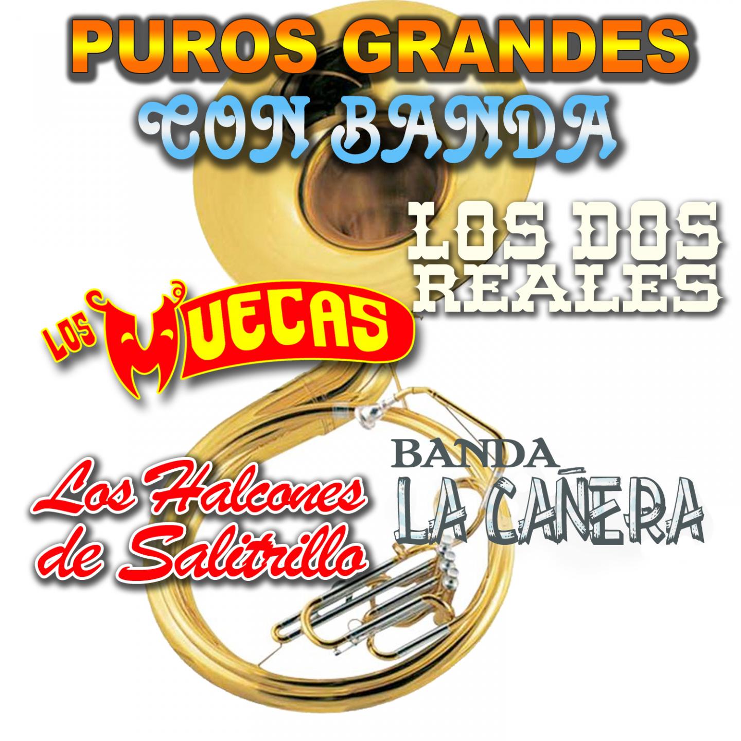 Постер альбома Puros Grandes Con Banda