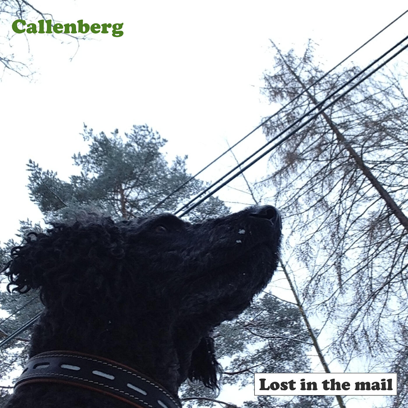 Callenberg - Sam Said