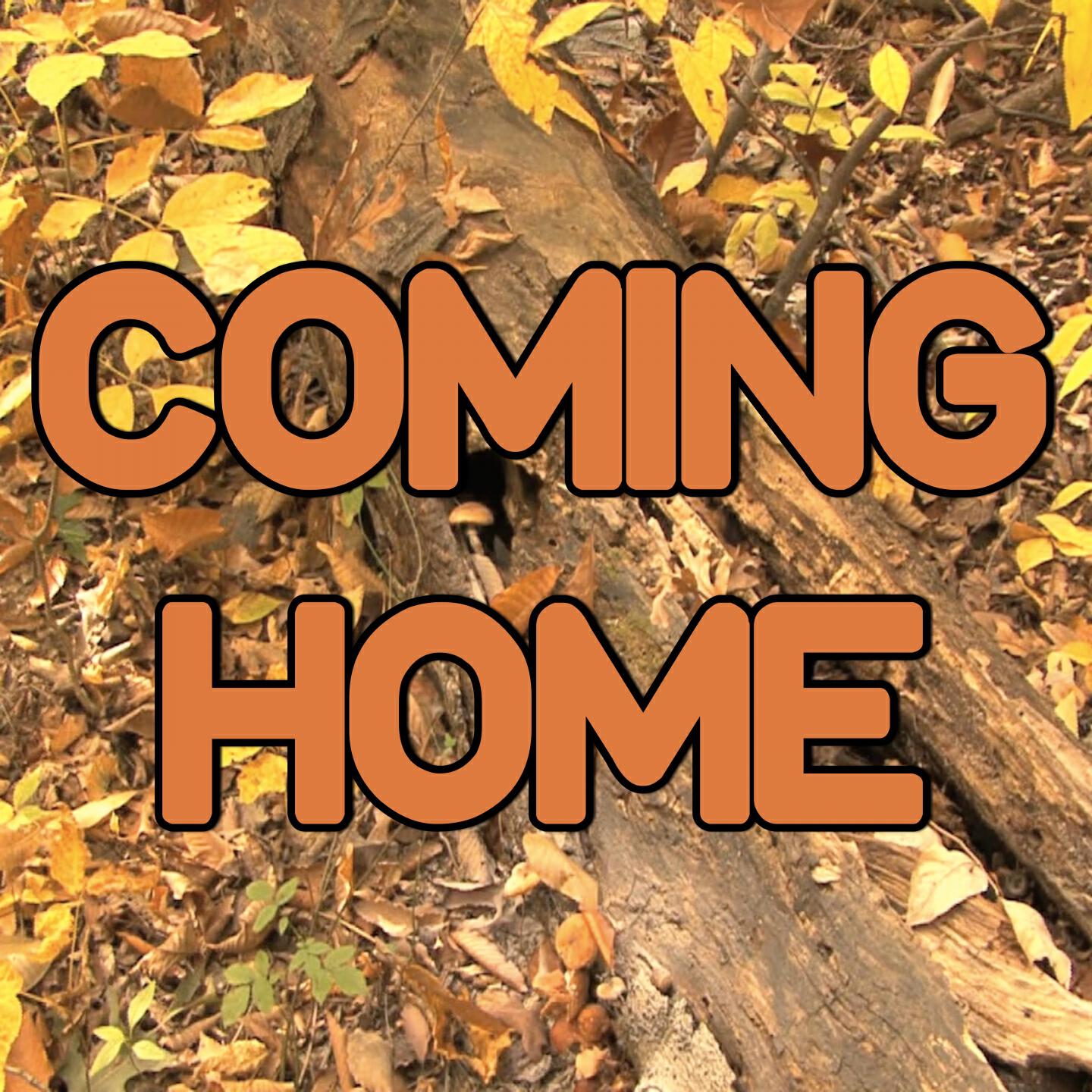 Swift Hits - Coming Home - Tribute to Sigma and Rita Ora