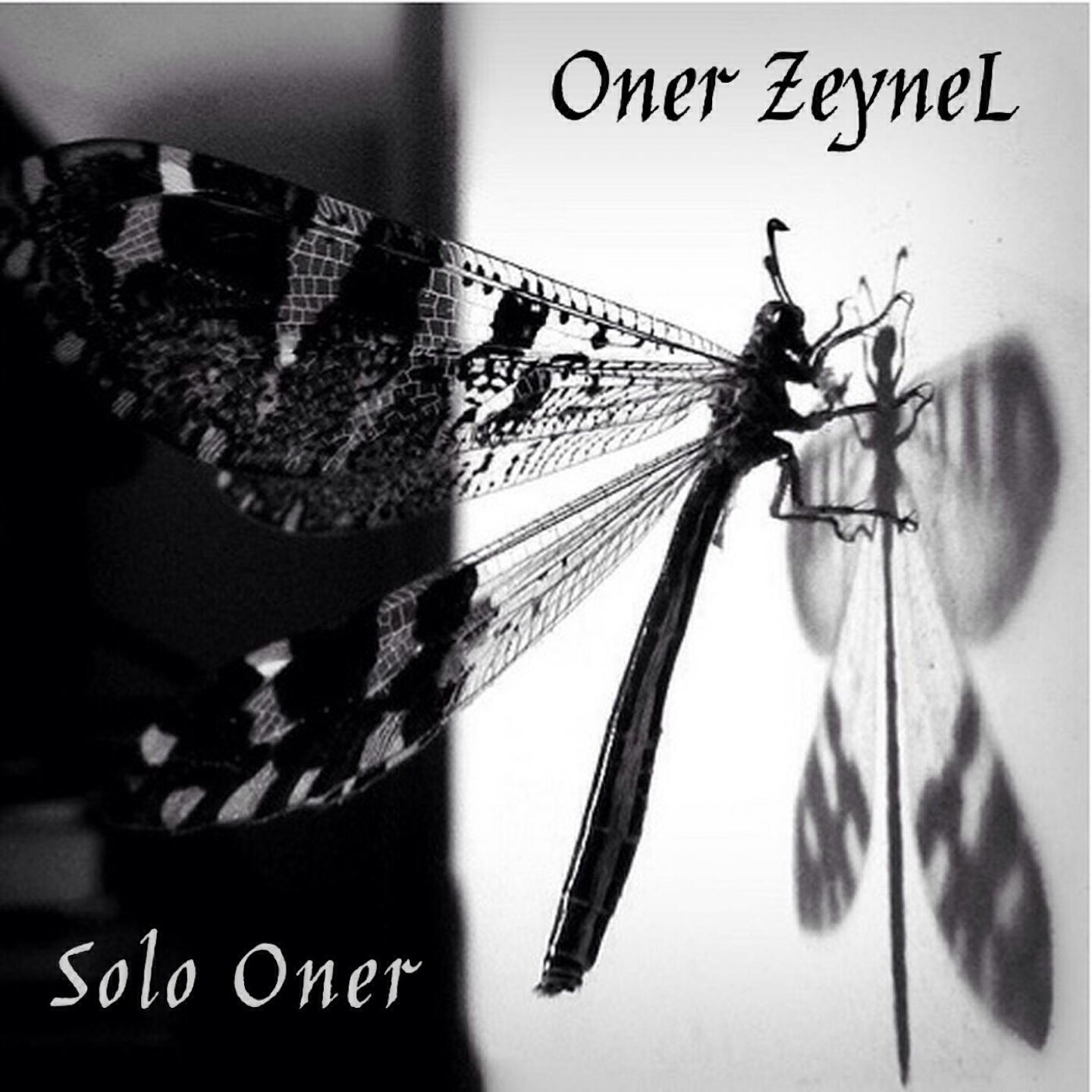 Oner Zeynel - The Mist