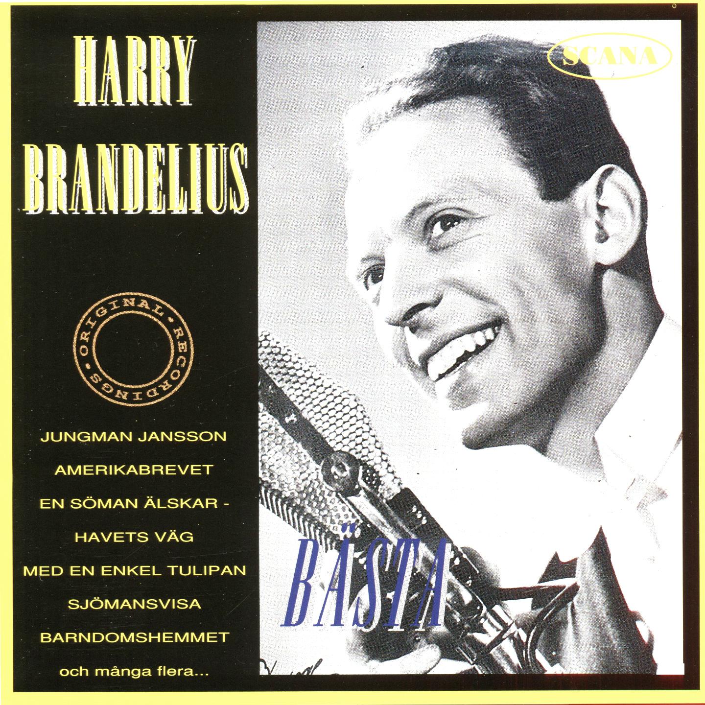 Harry Brandelius - Inga stora bevingade ord