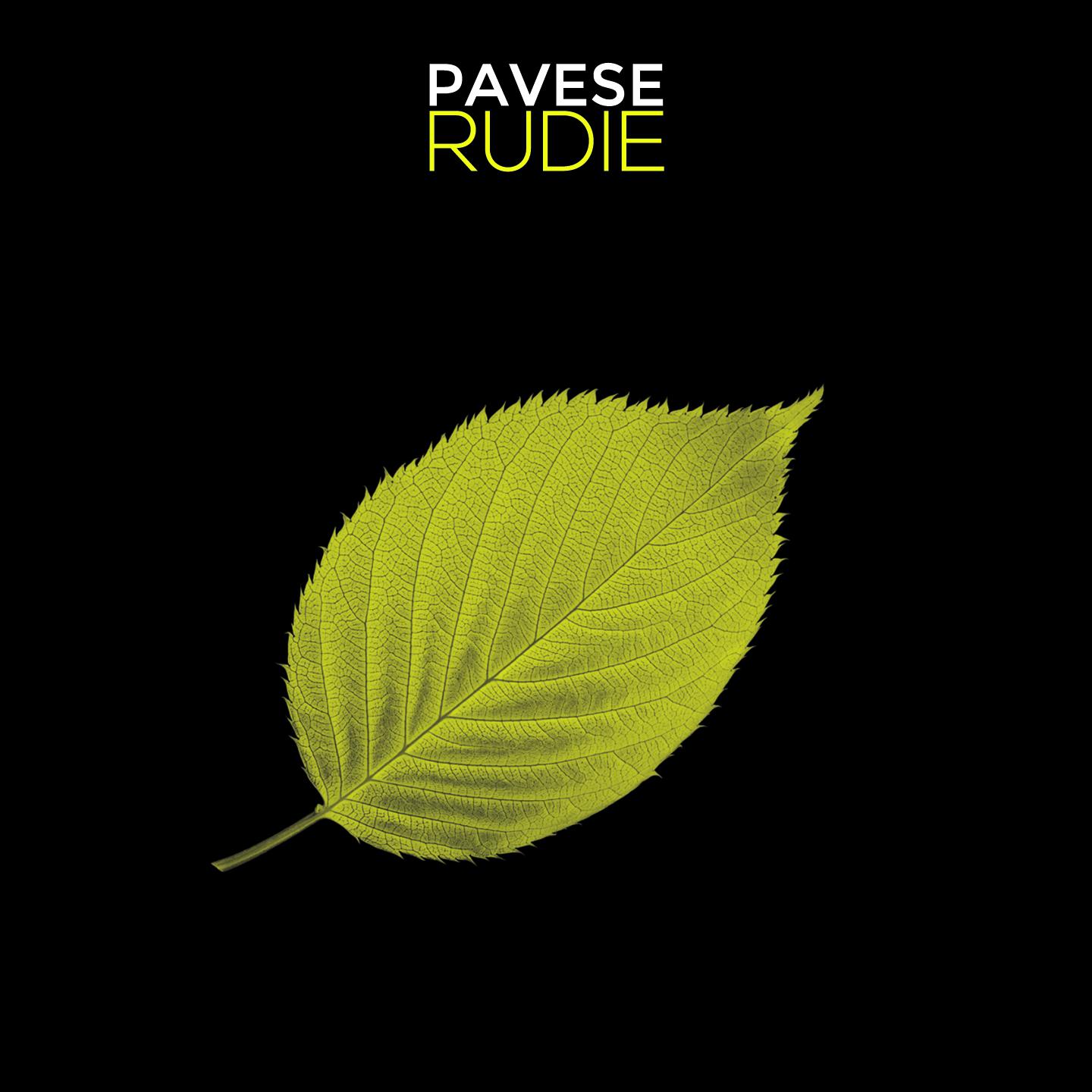 Постер альбома Pavese Rudie