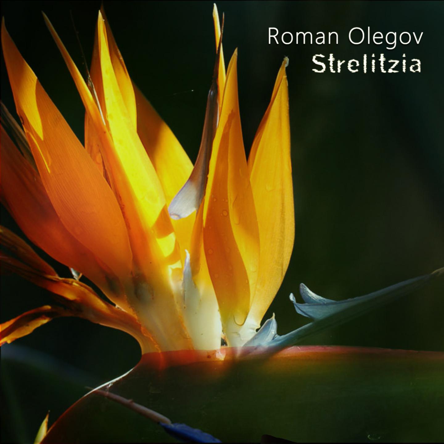 Постер альбома Strelitzia