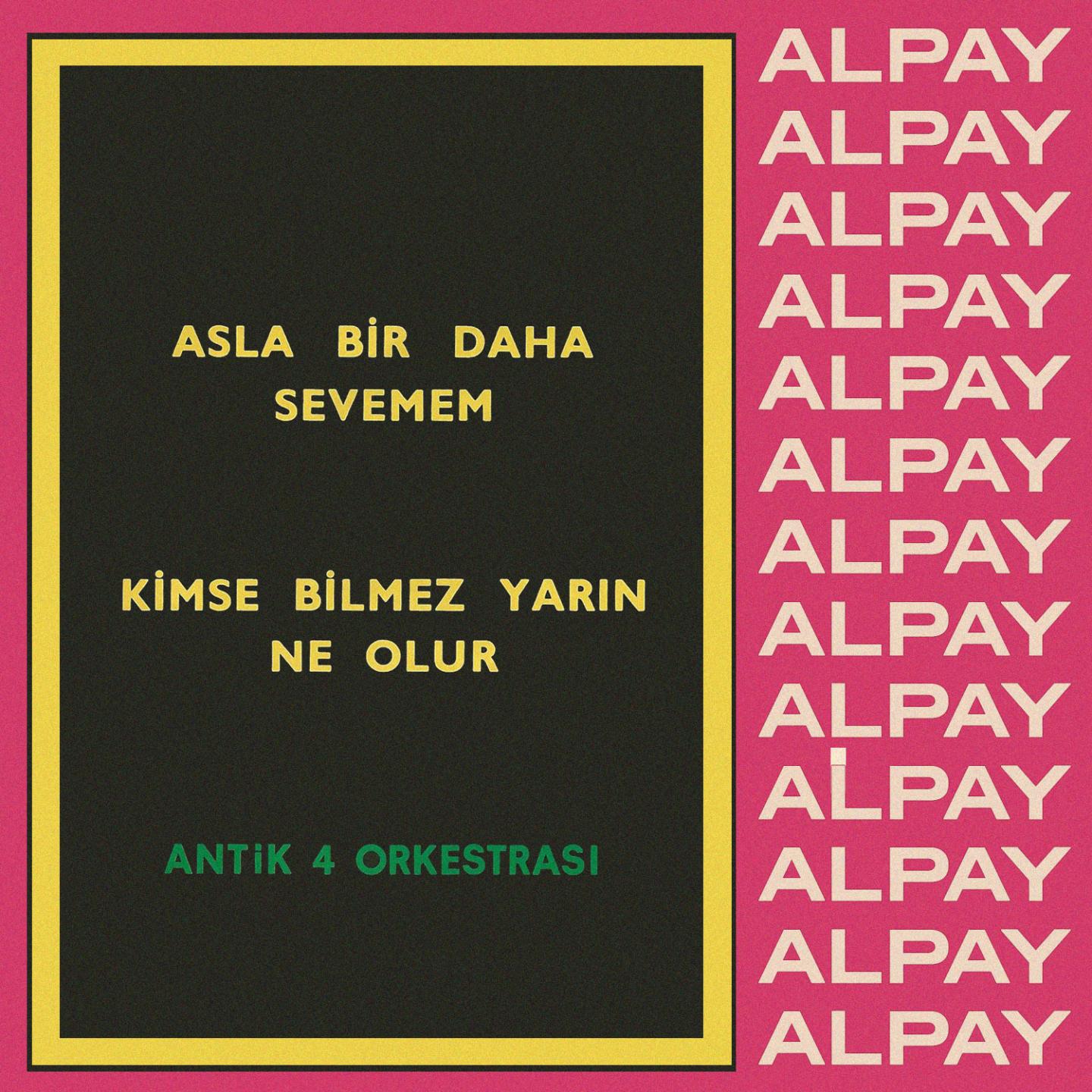 Постер альбома Asla Bir Daha Sevemem