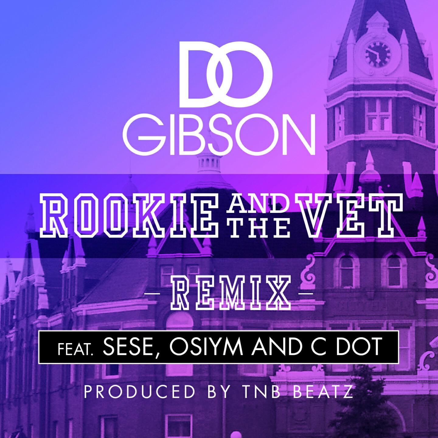 D.O. Gibson - Rookie and the Vet (Remix)