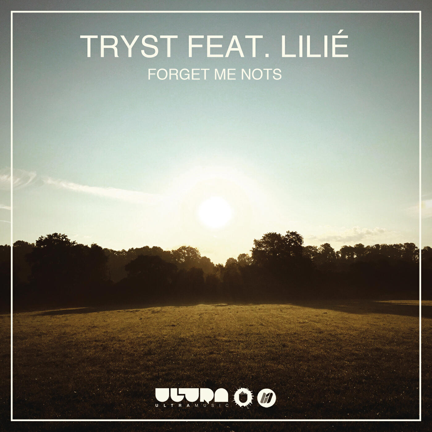 TRYST - Forget Me Nots