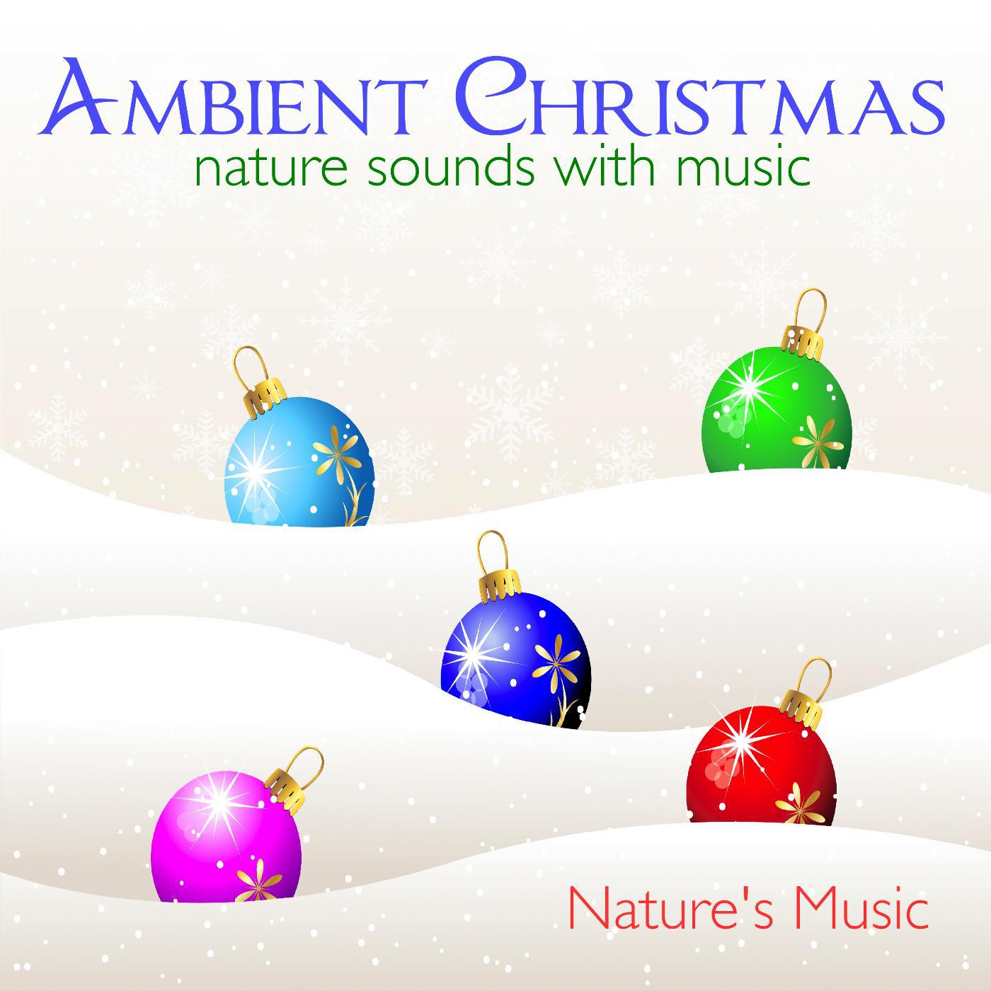 Постер альбома Ambient Christmas Nature Sounds with Music