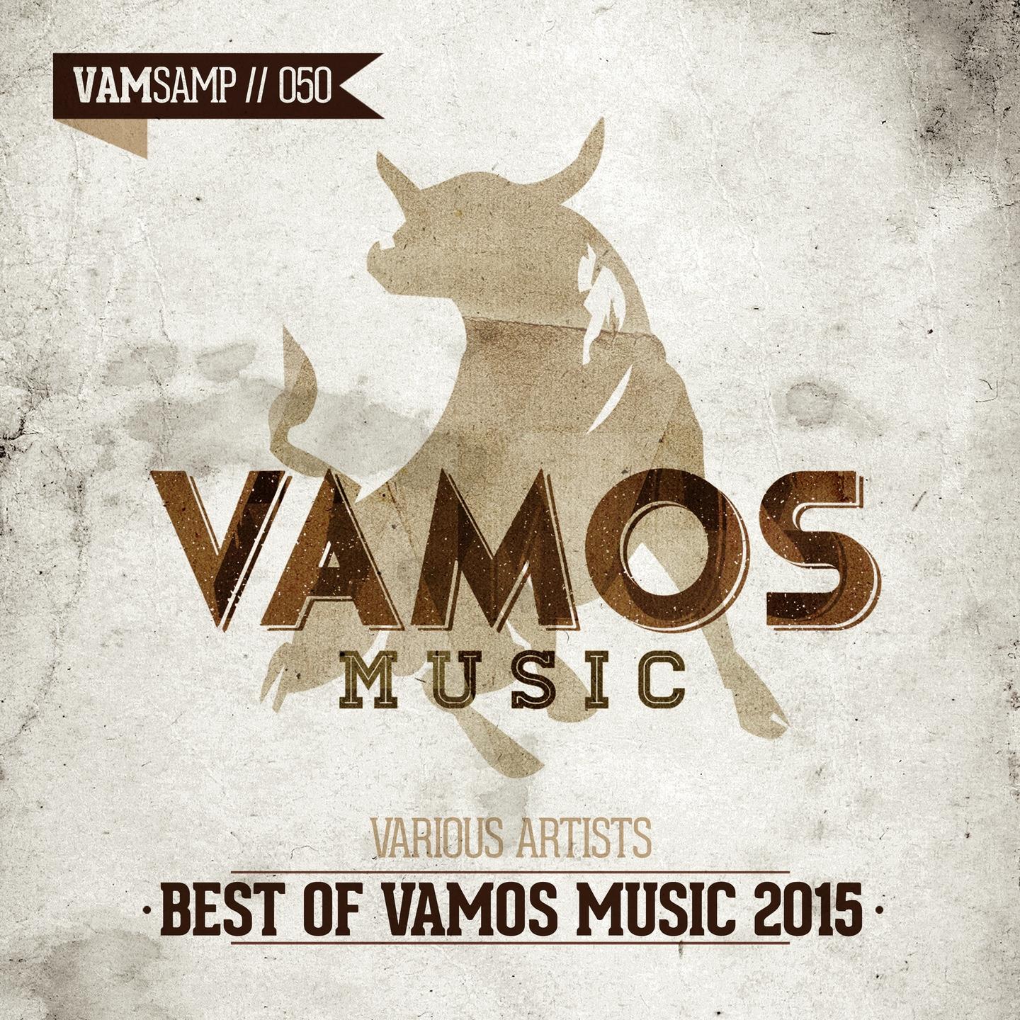 Постер альбома Best of Vamos Music 2015