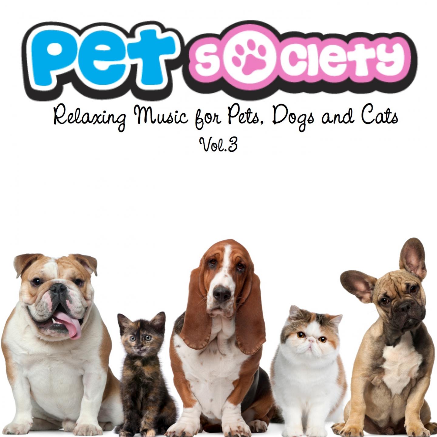 Постер альбома Pet Society, Vol.3