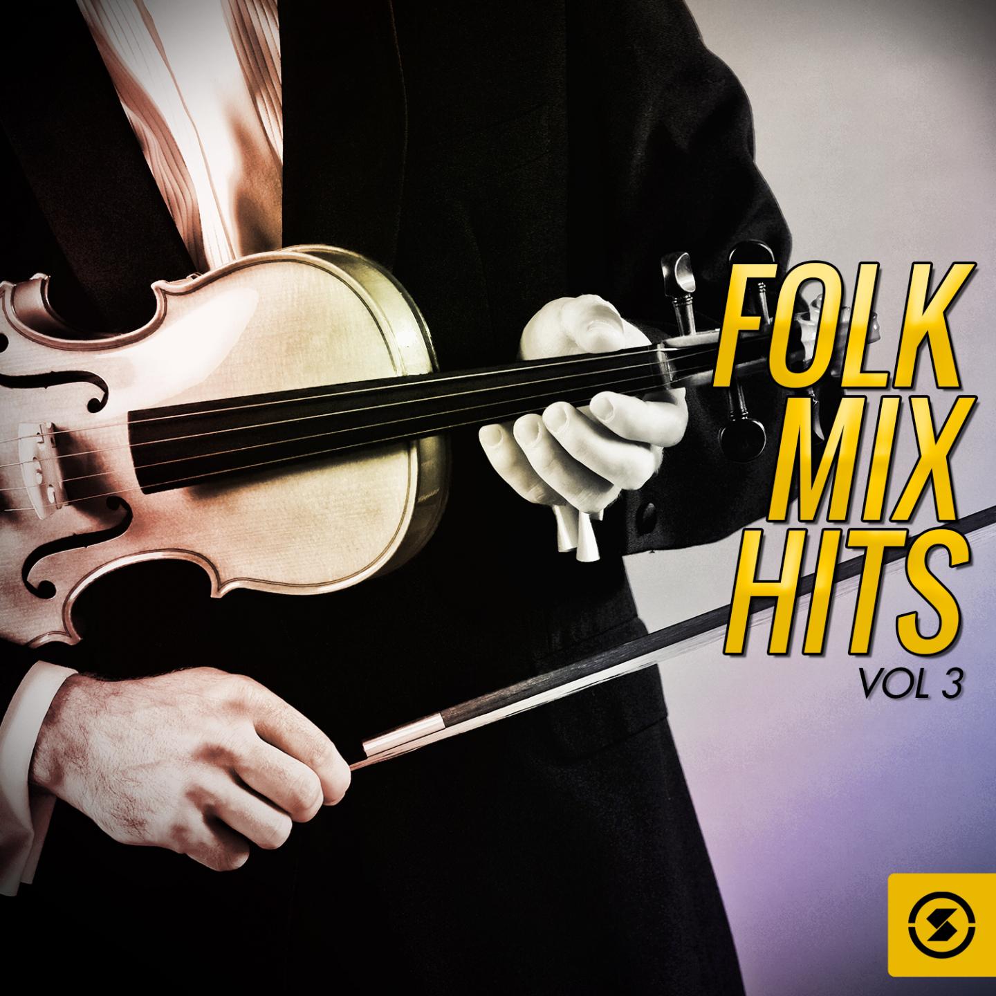 Постер альбома Folk Mix Hits, Vol. 3