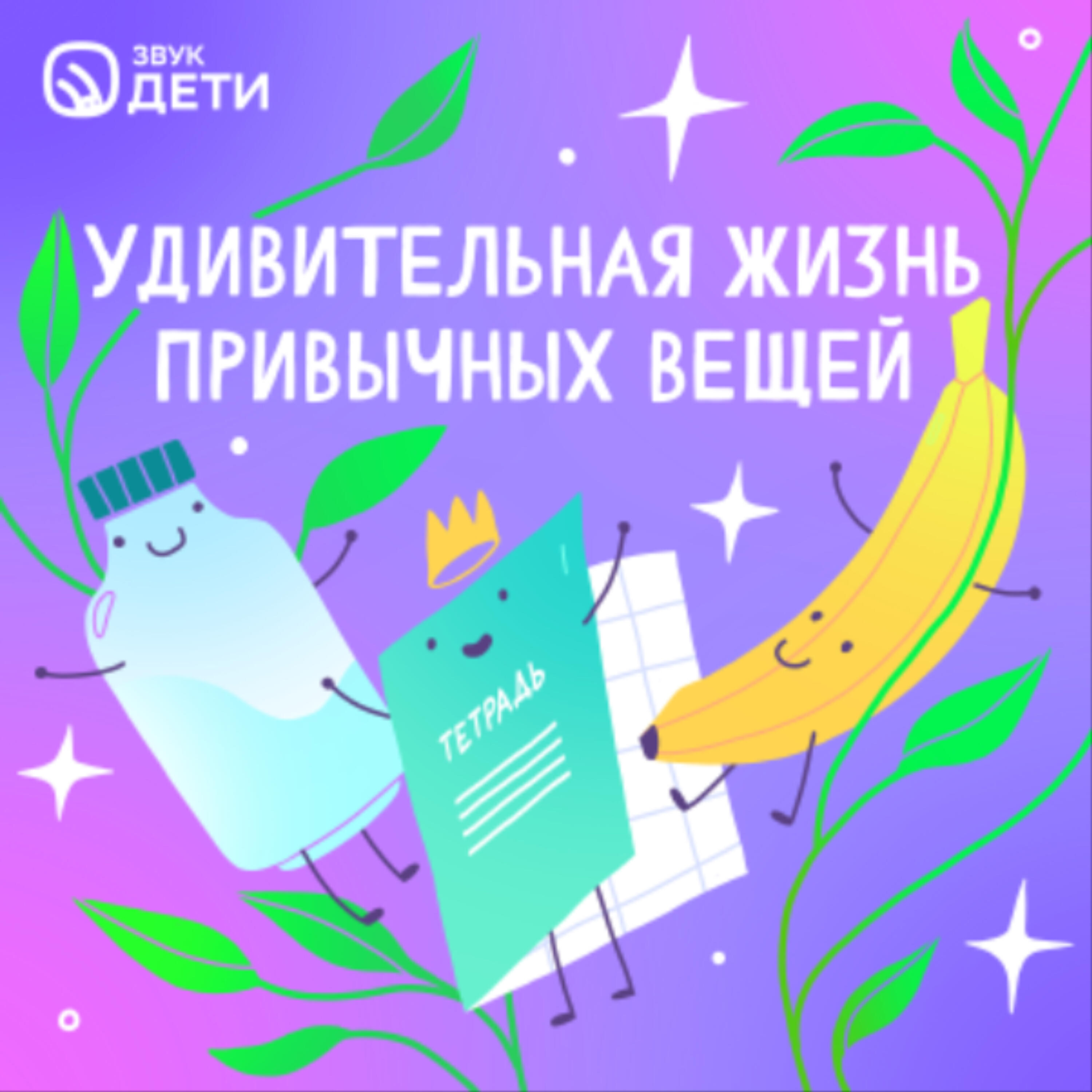 Экологическая сказка «Удивительная жизнь привычных вещей»