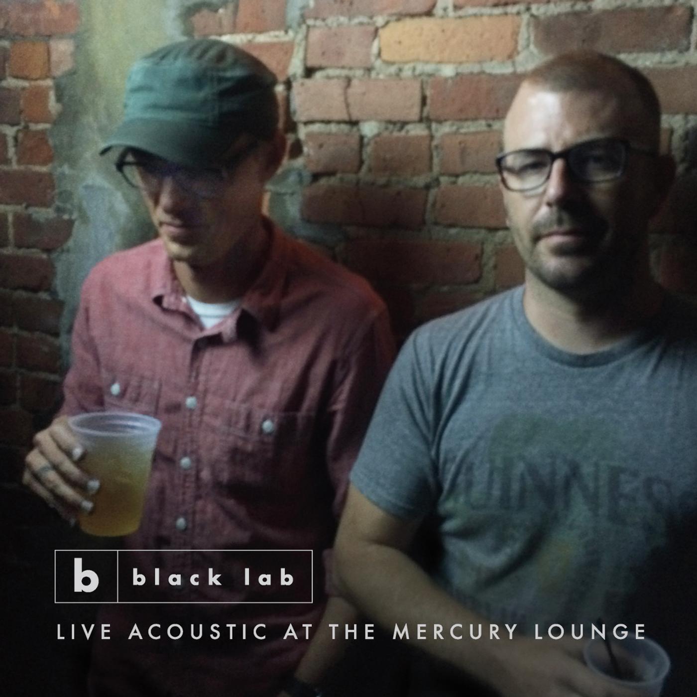 Black Lab - Dream in Color (Live)