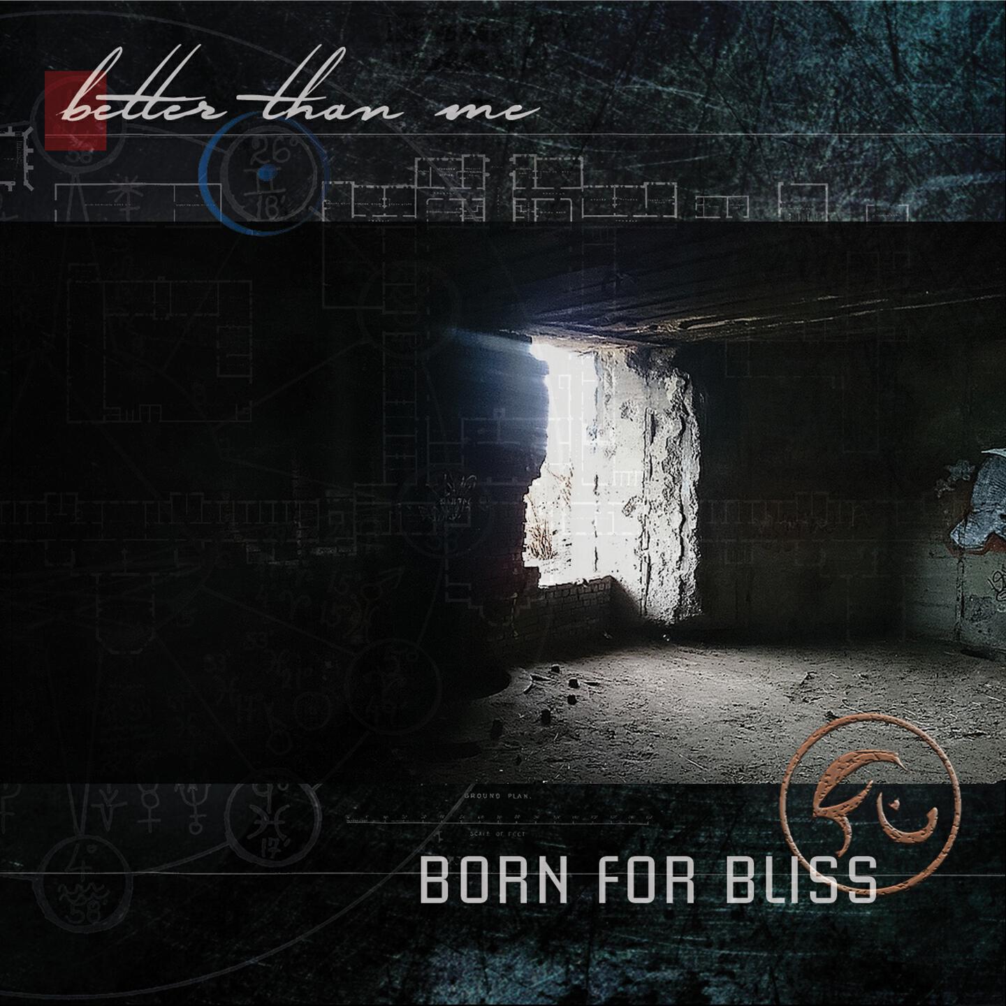 Born For Bliss - Somebody to Love (Jefferson Airplane Cover)