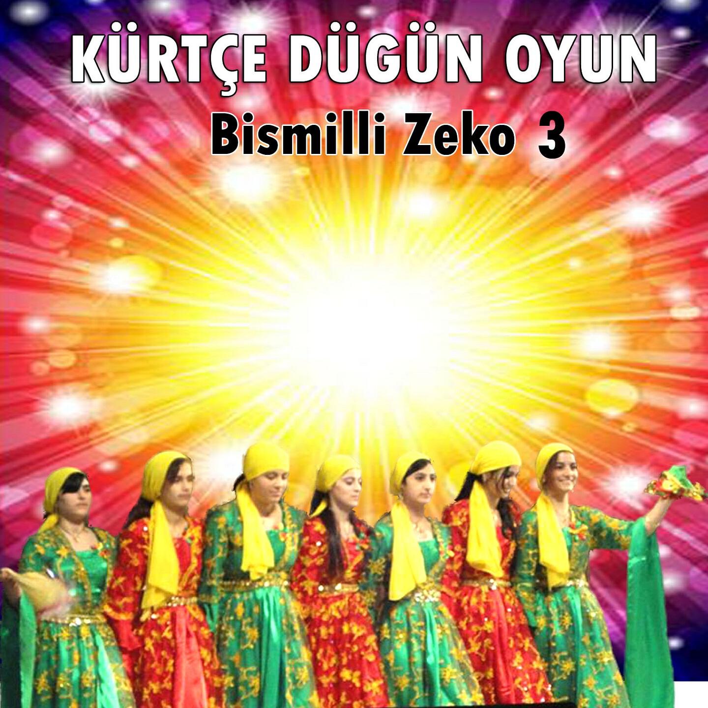 Bismilli Zeko 3 - Bismilli Zeko