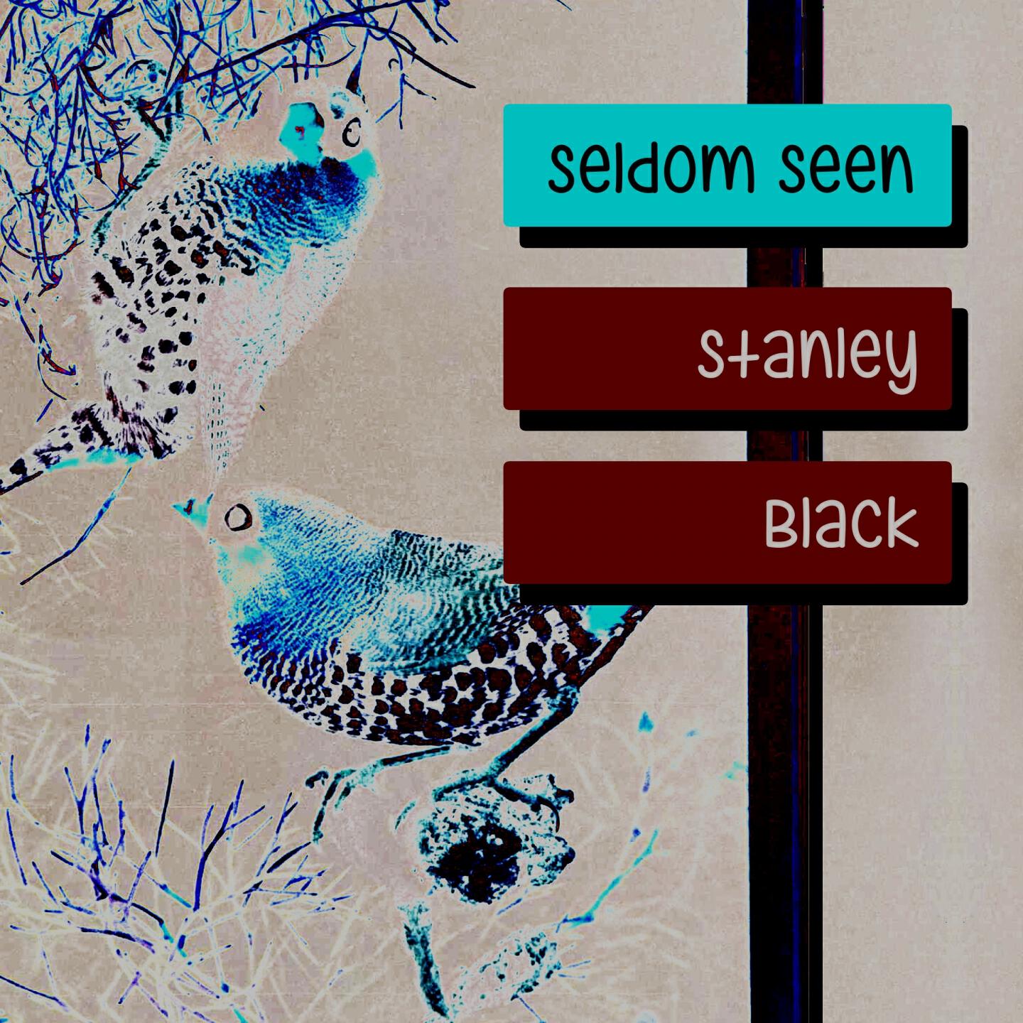 Stanley Black - Soft Lights And Sweet Music