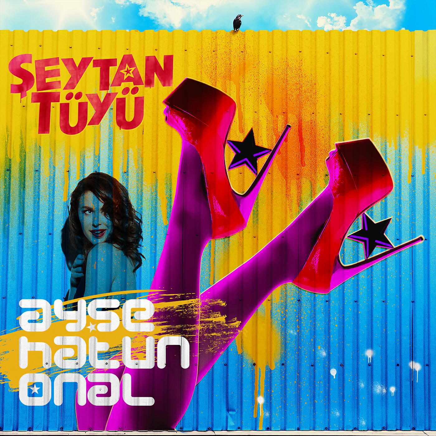 Ayse Hatun Önal - Şeytan Tüyü