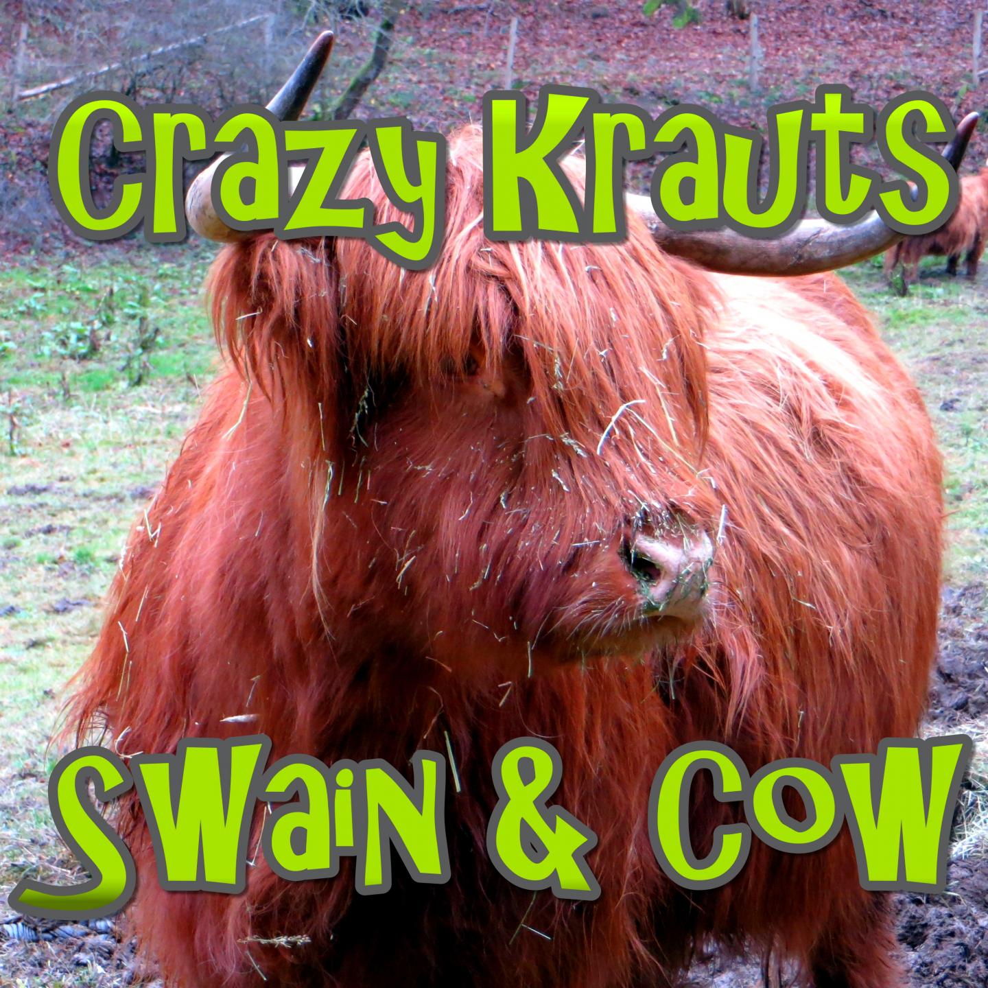 Постер альбома Swain & Cow