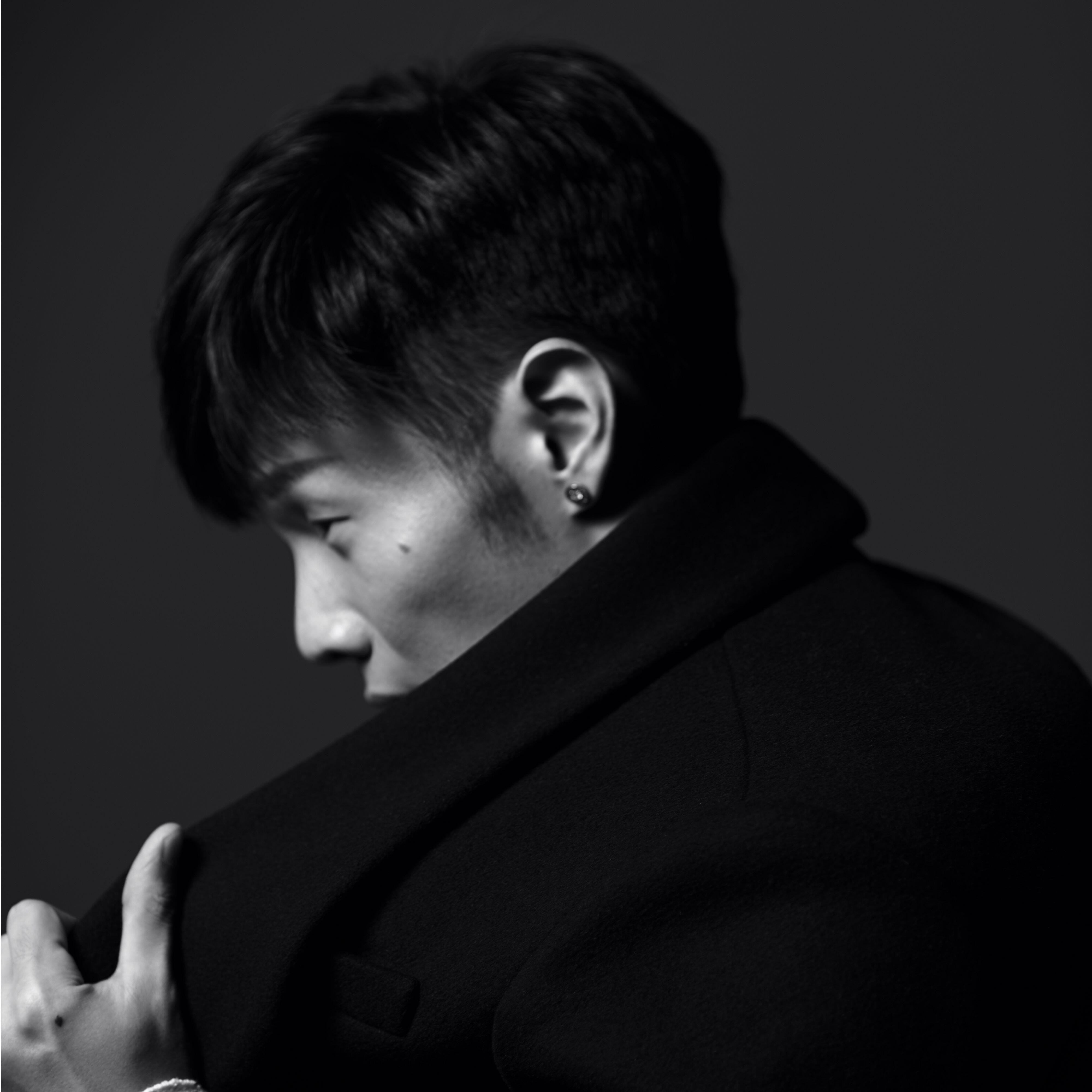 Ronghao Li - Wild Animals