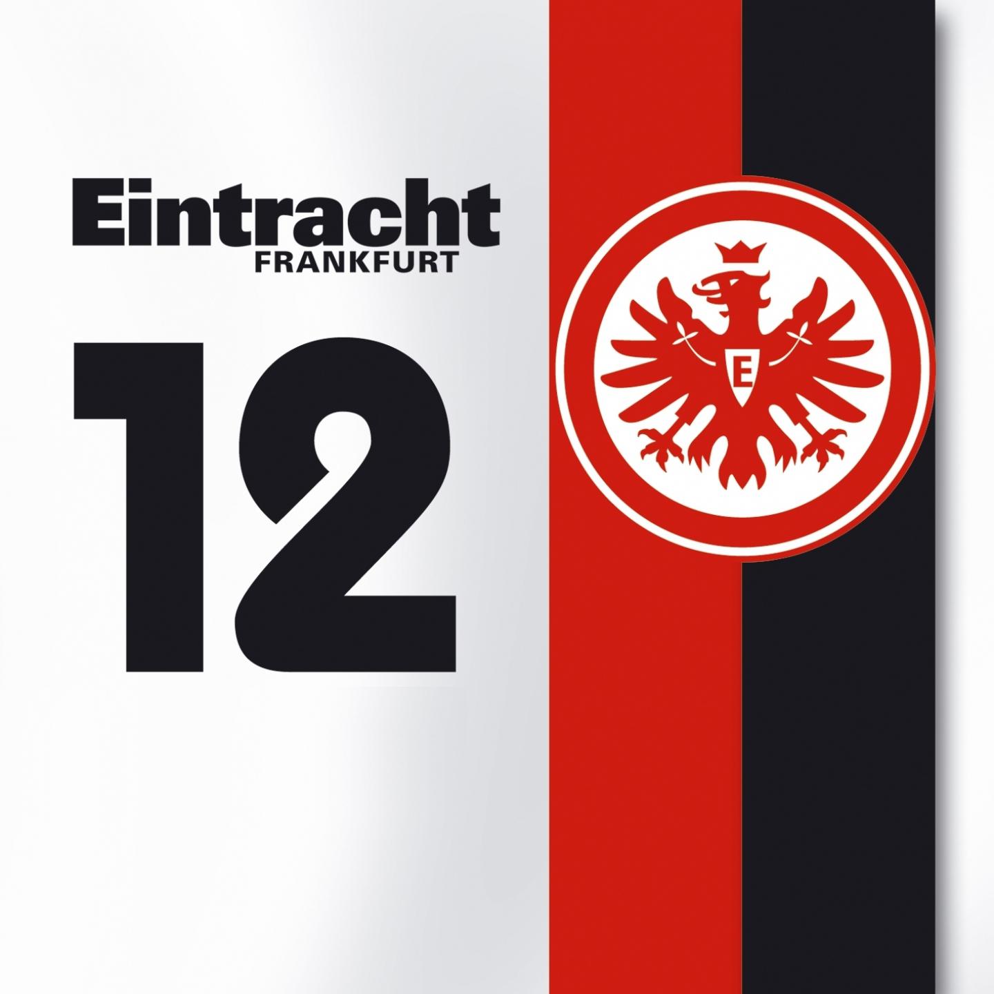 Постер альбома Eintracht Frankfurt 12 (Von Fans Für Fans), Vol. 1
