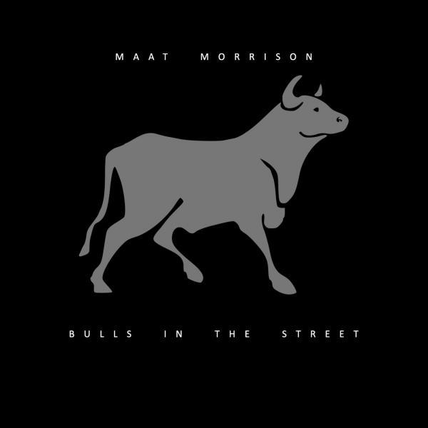 Постер альбома Bulls In The Street