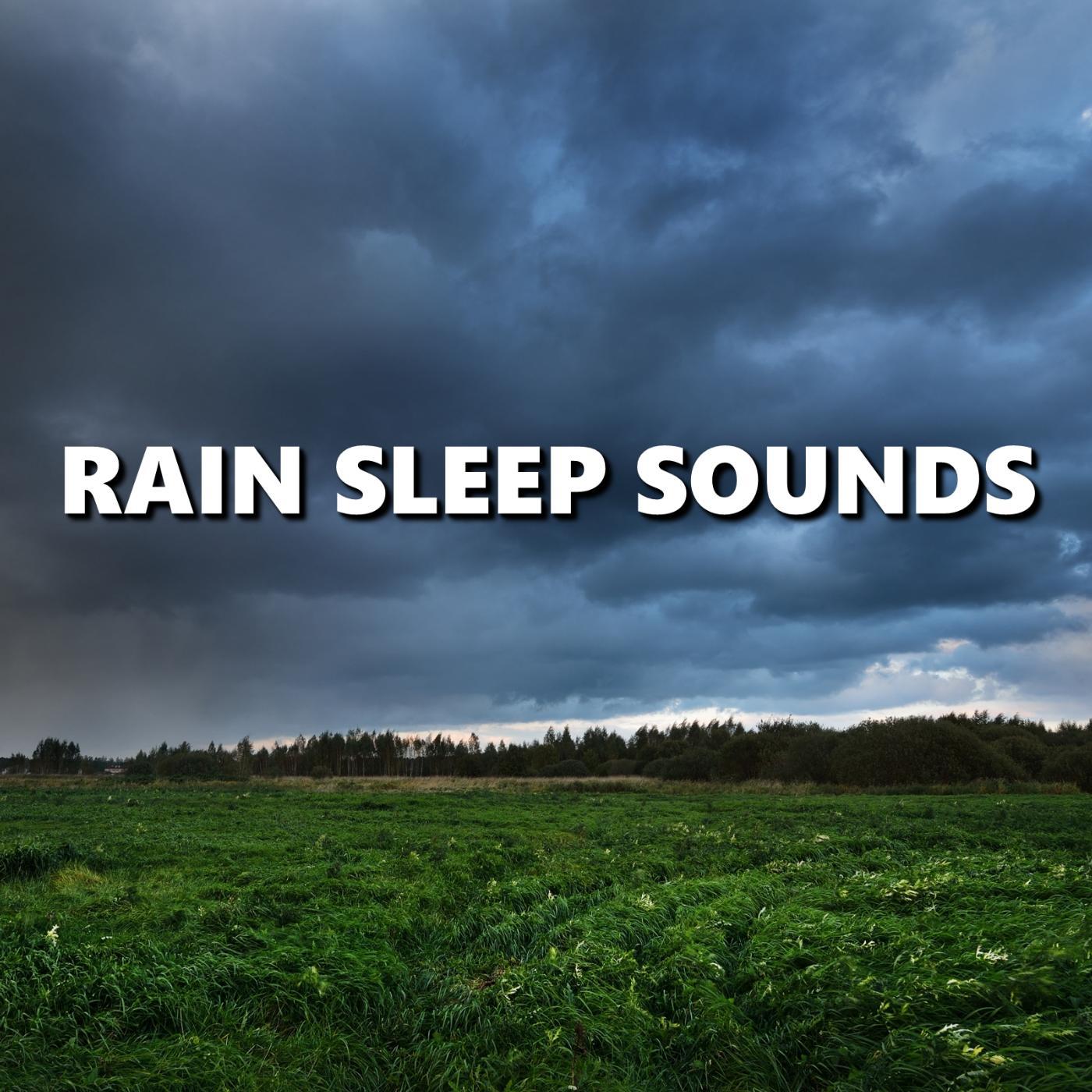 Постер альбома Rain Sleep Sounds