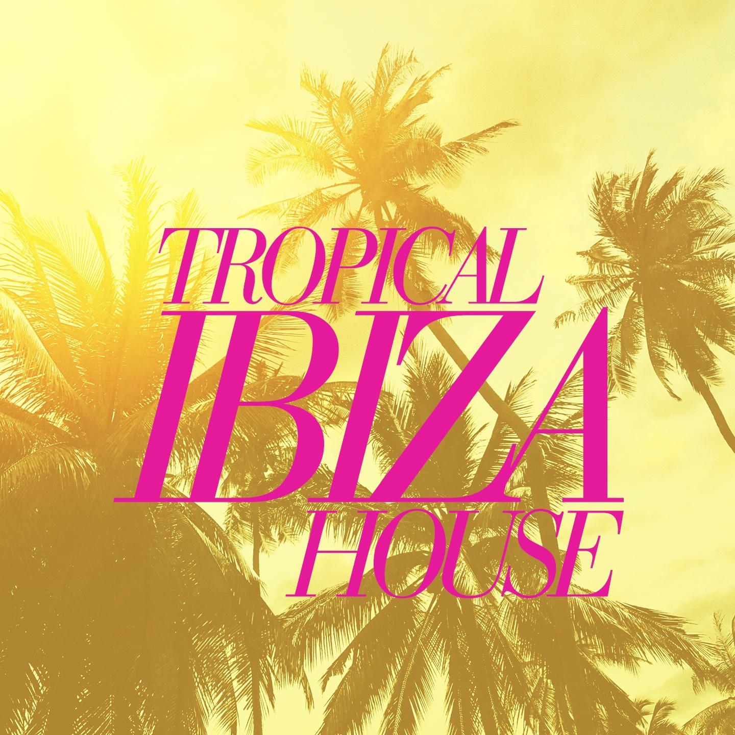 Постер альбома Tropical Ibiza House