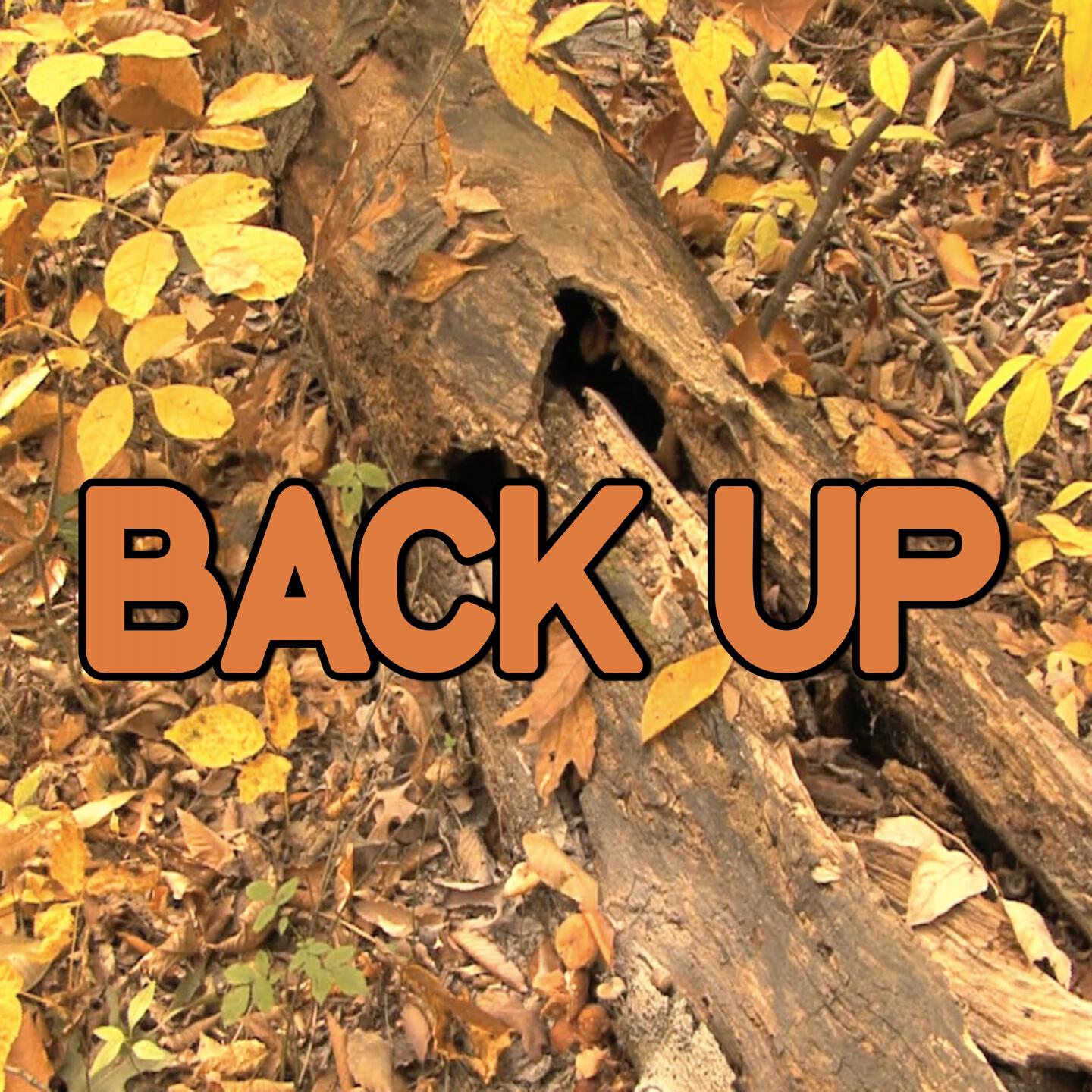 Swift Hits - Back Up - Tribute to DeJ Loaf And Big Sean (Instrumental Version)