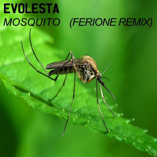 Постер альбома Mosquito (Ferione Remix)
