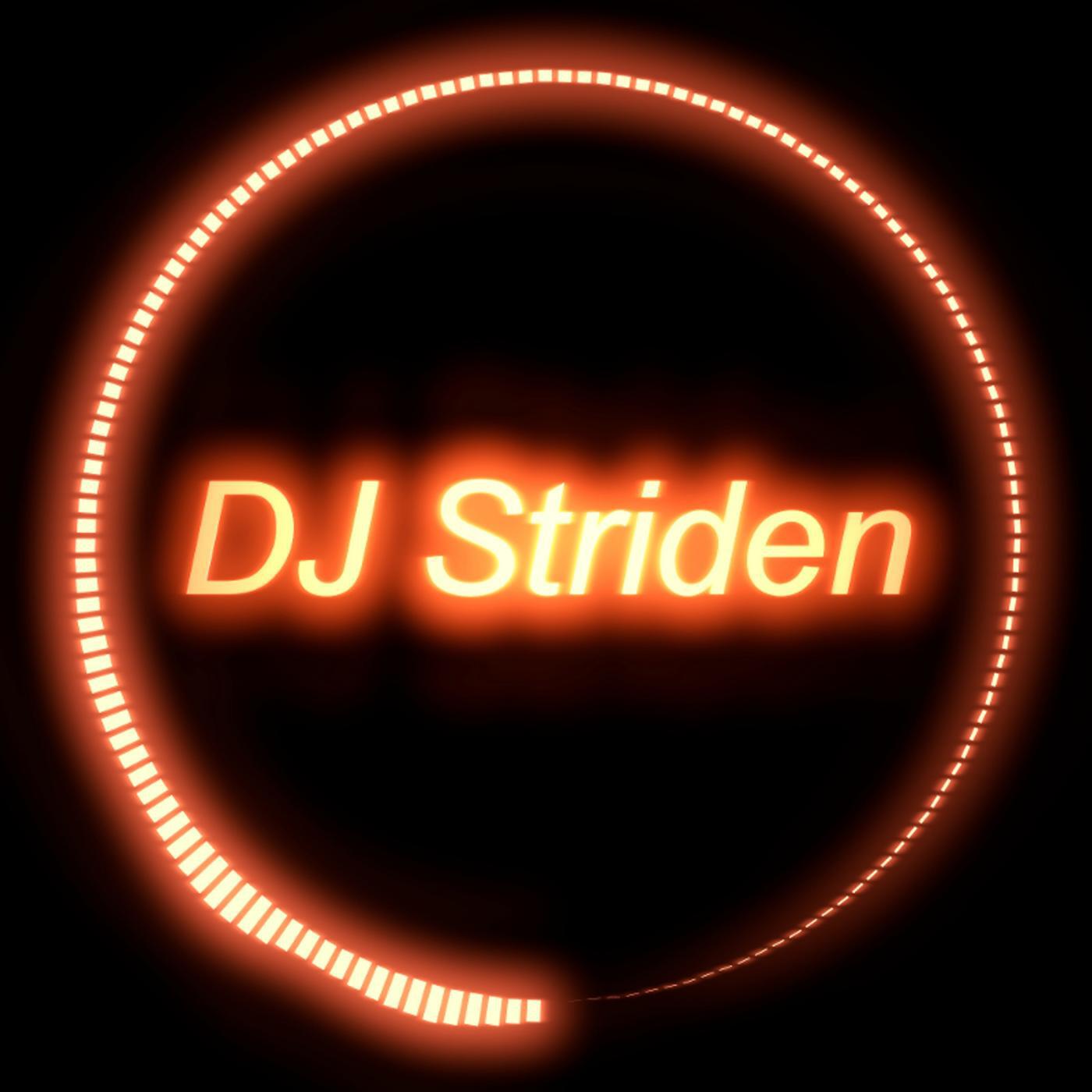DJ Striden - Solace