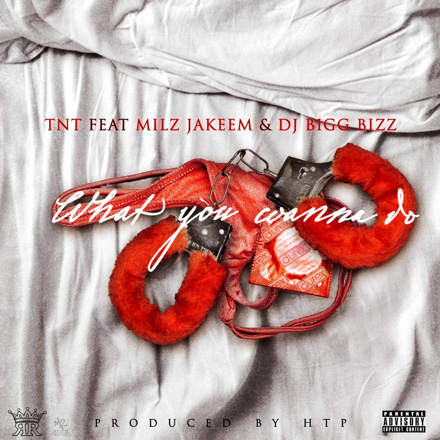 TNT - What You Wanna Do (feat. Milz Jakeem & DJ Bigg Bizz)