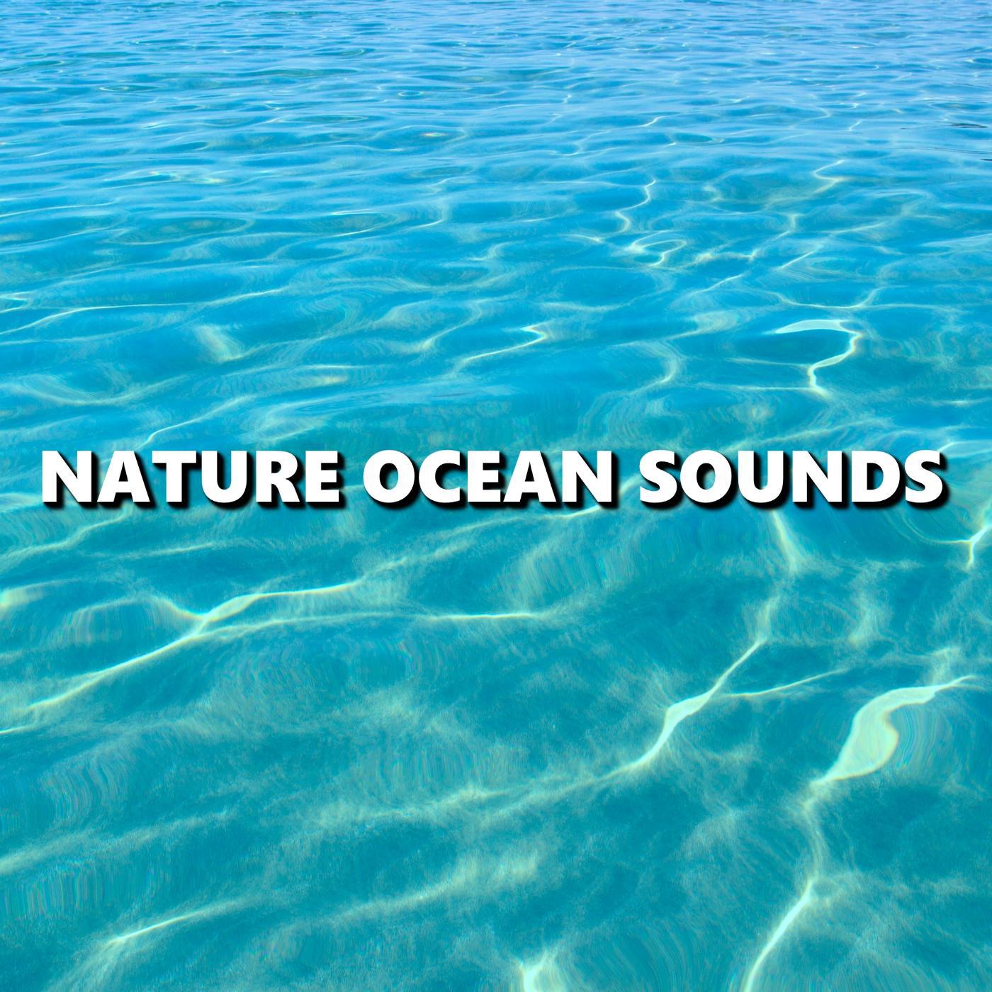 Постер альбома Nature Ocean Sounds