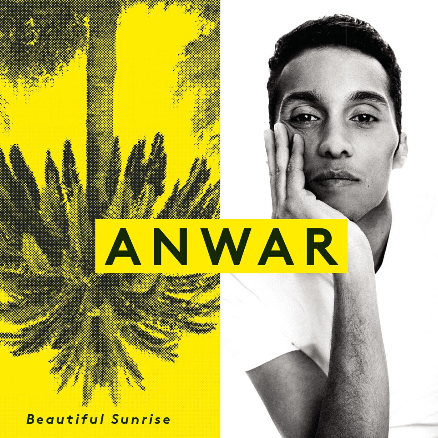 Anwar - Driving on the Highway