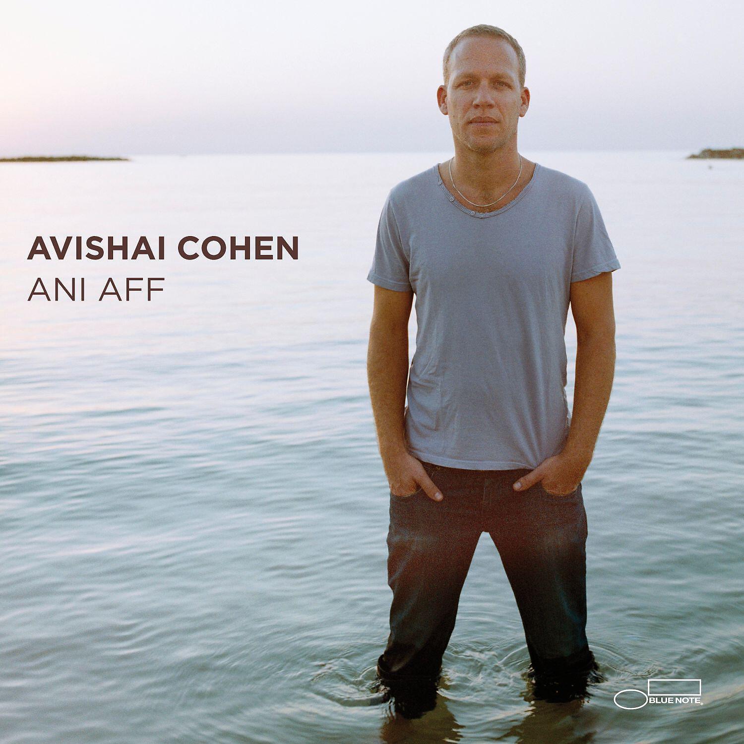 Avishai Cohen - Ani Aff (Radio Edit)