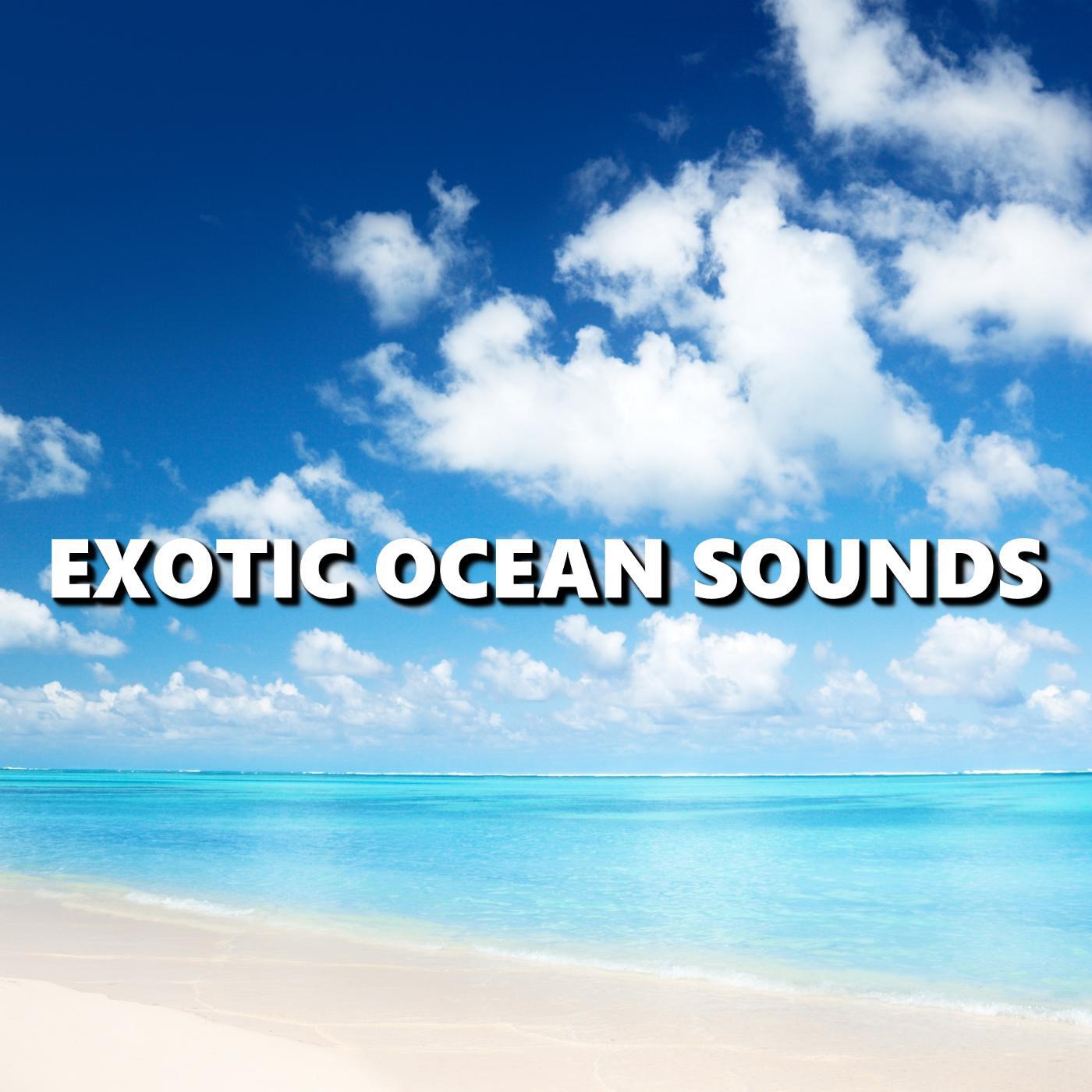 Deep Sleep - Energetic Atlantic Ocean Waves
