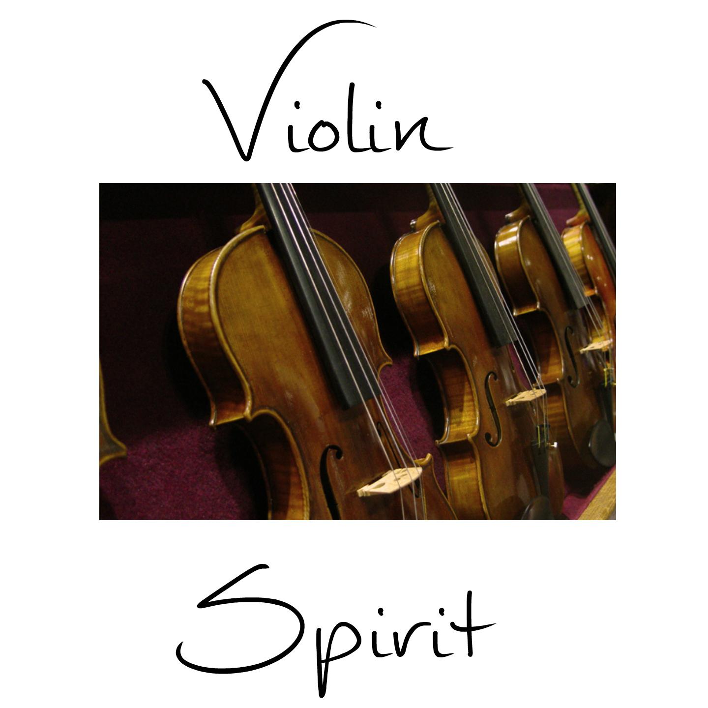 Постер альбома Violin Spirit