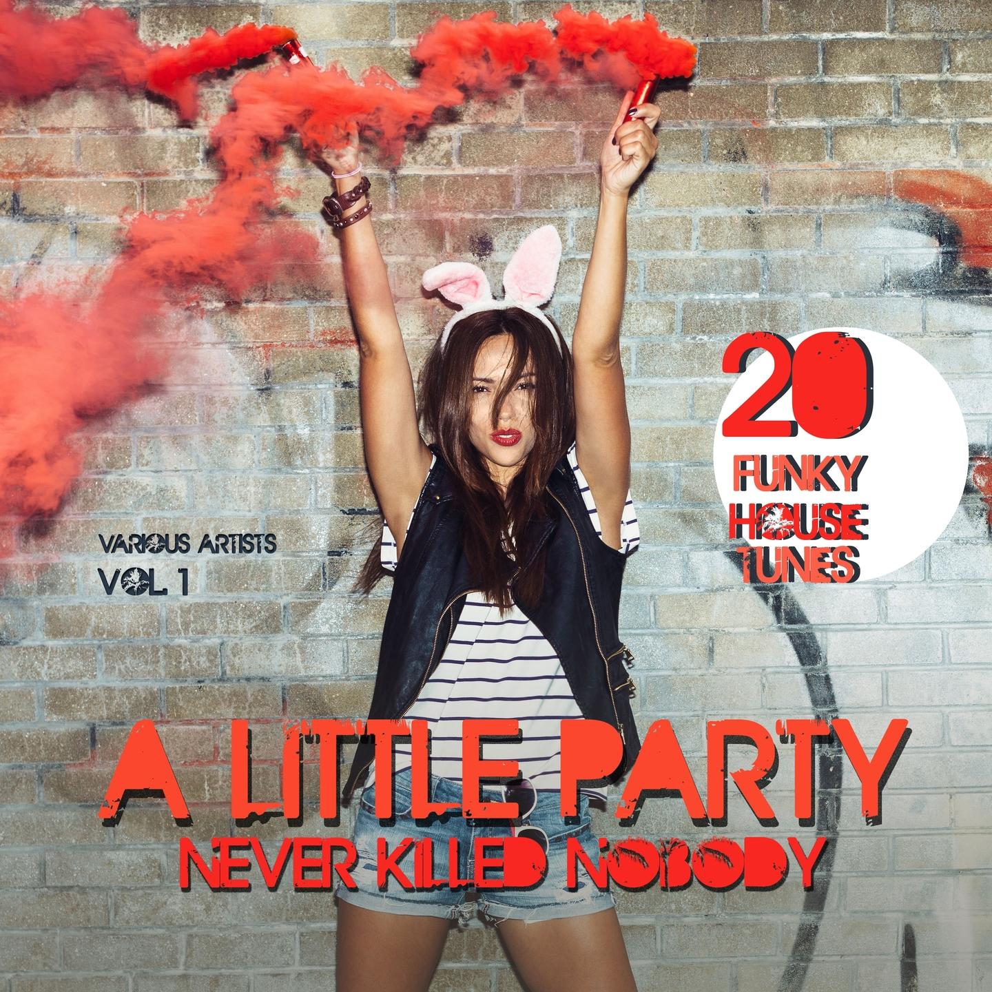 Постер альбома A Little Party Never Killed Nobody, Vol. 1 (20 Funky House Tunes)
