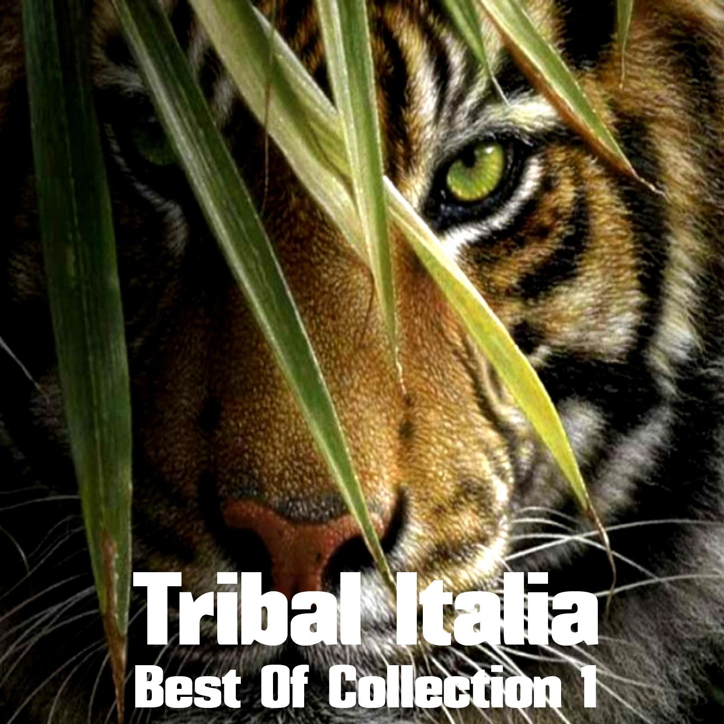 Постер альбома Tribal Italia Best of Collection, Vol. 1