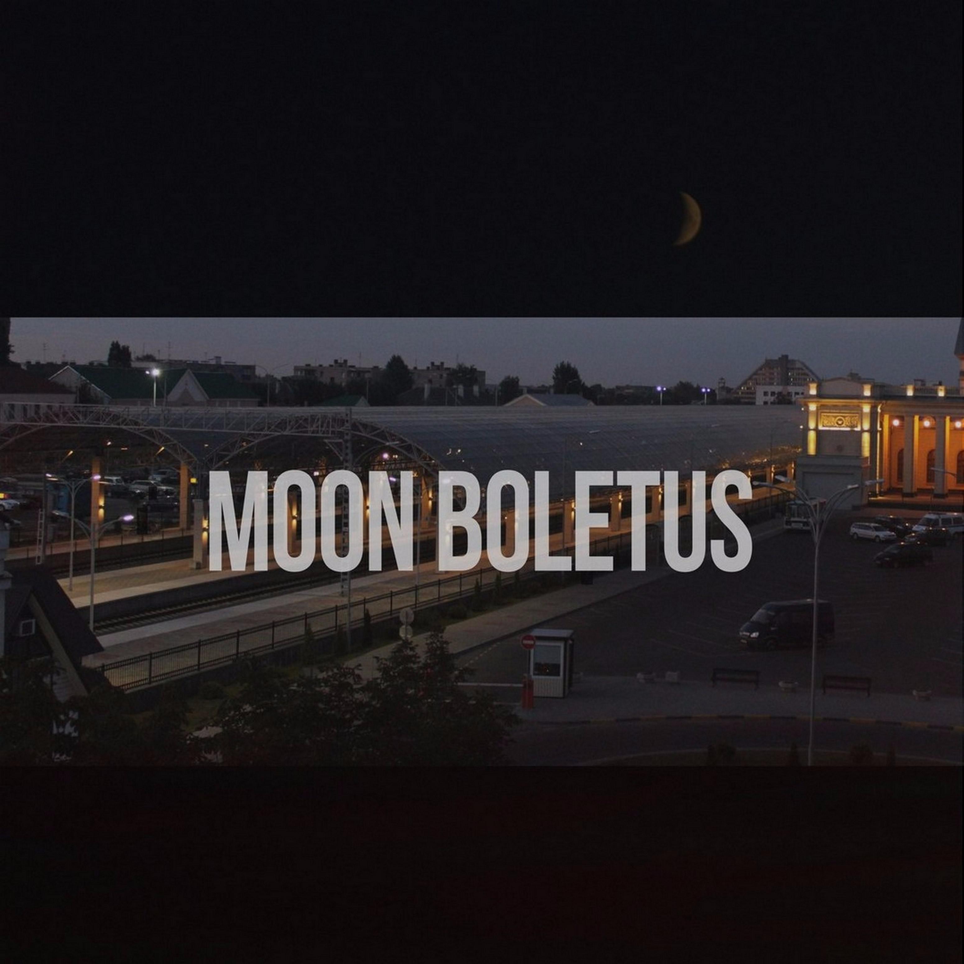 Постер альбома Moon Boletus