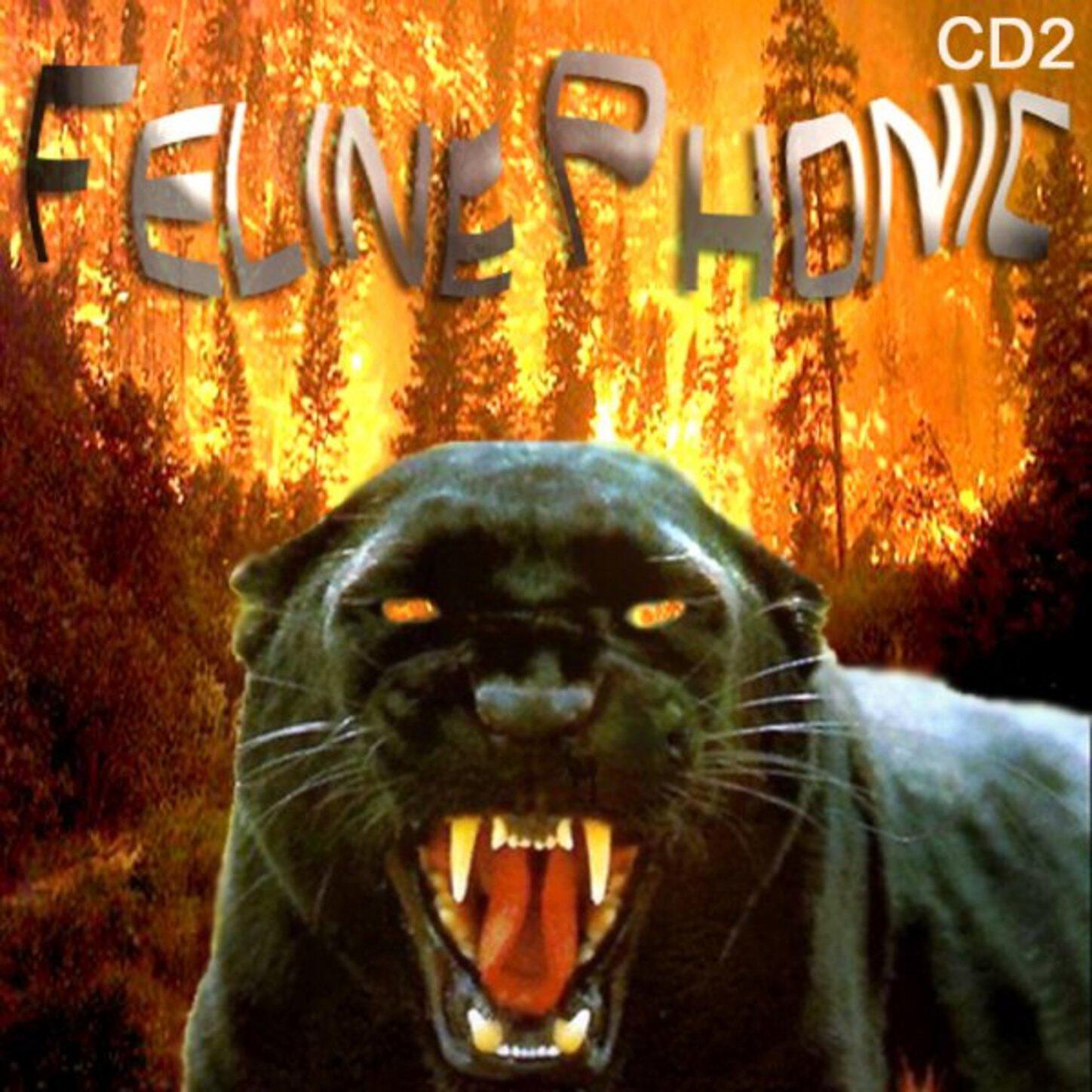 Feline Phonic - Mr Spock Has Spoken (Original Mix)