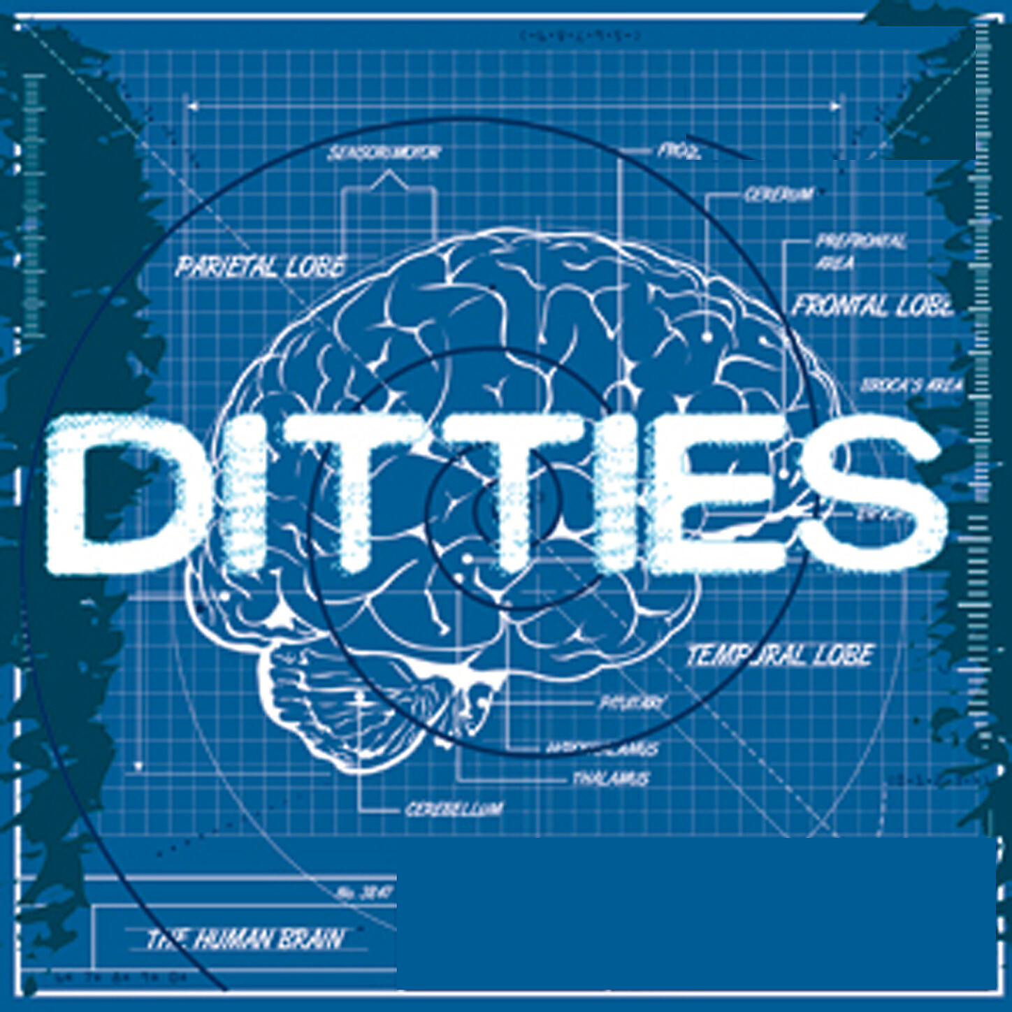 VARIOUS ARTISTS - Super Duper