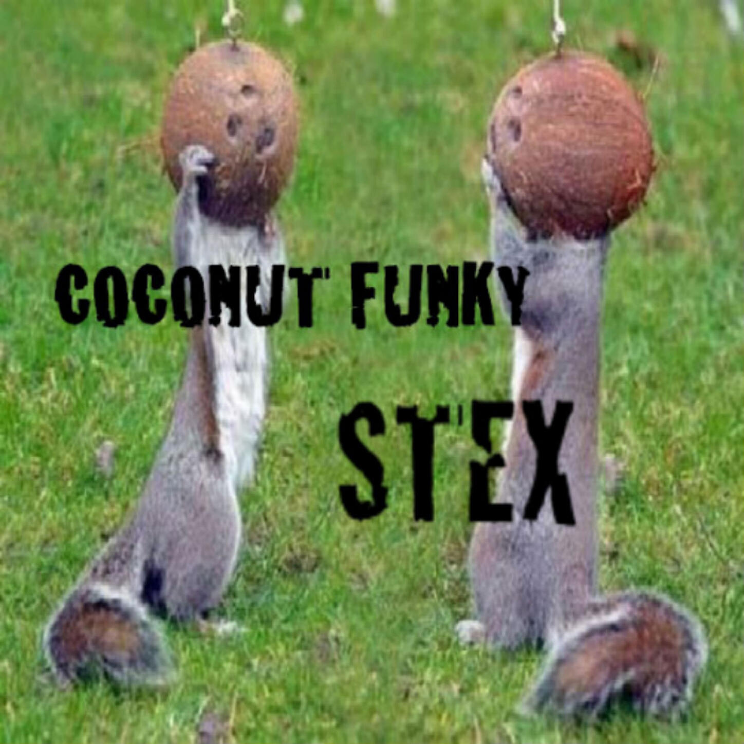 Stex - Coconut Funky (Nudisco Funky Mix)